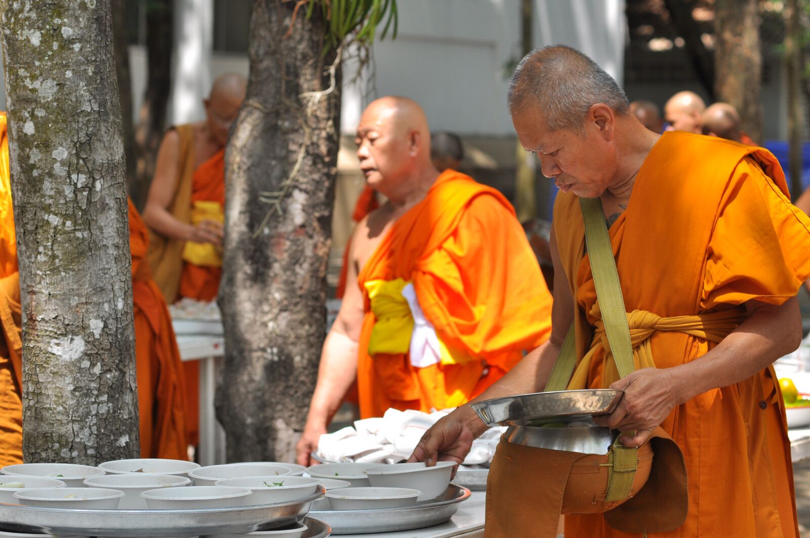 Nikon D90 sample photo. Buddhism, the english, buddhists photography