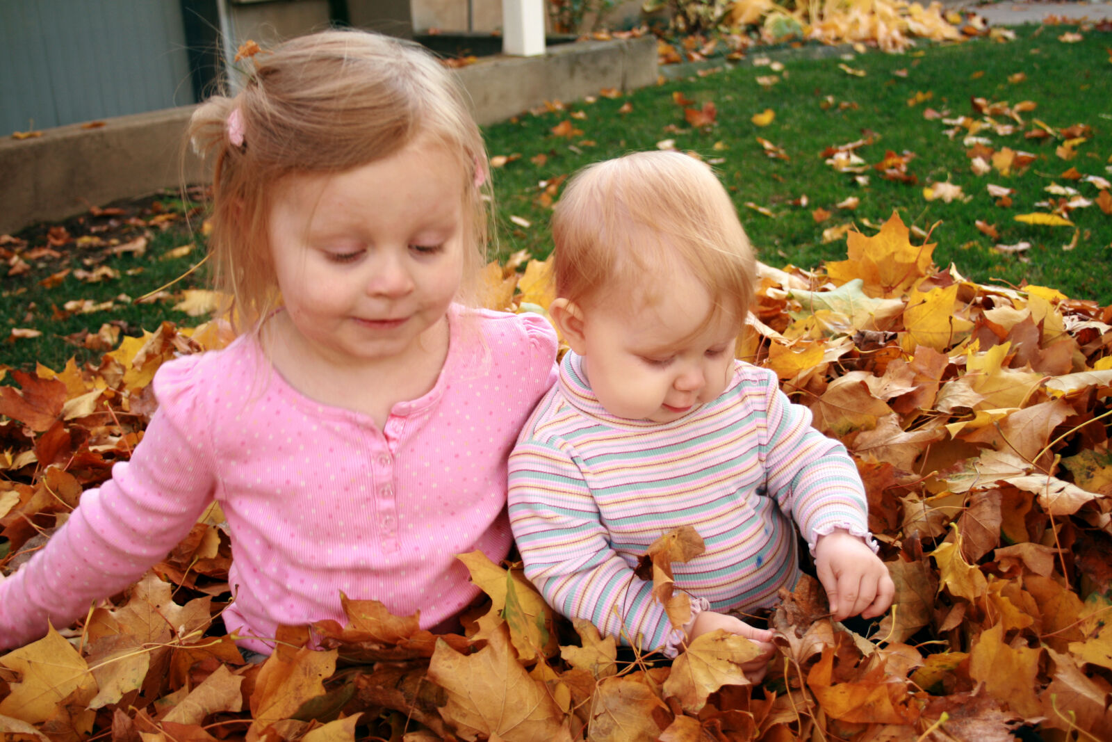 Canon EOS 400D (EOS Digital Rebel XTi / EOS Kiss Digital X) sample photo. Autumn, autumn, leaves, baby photography
