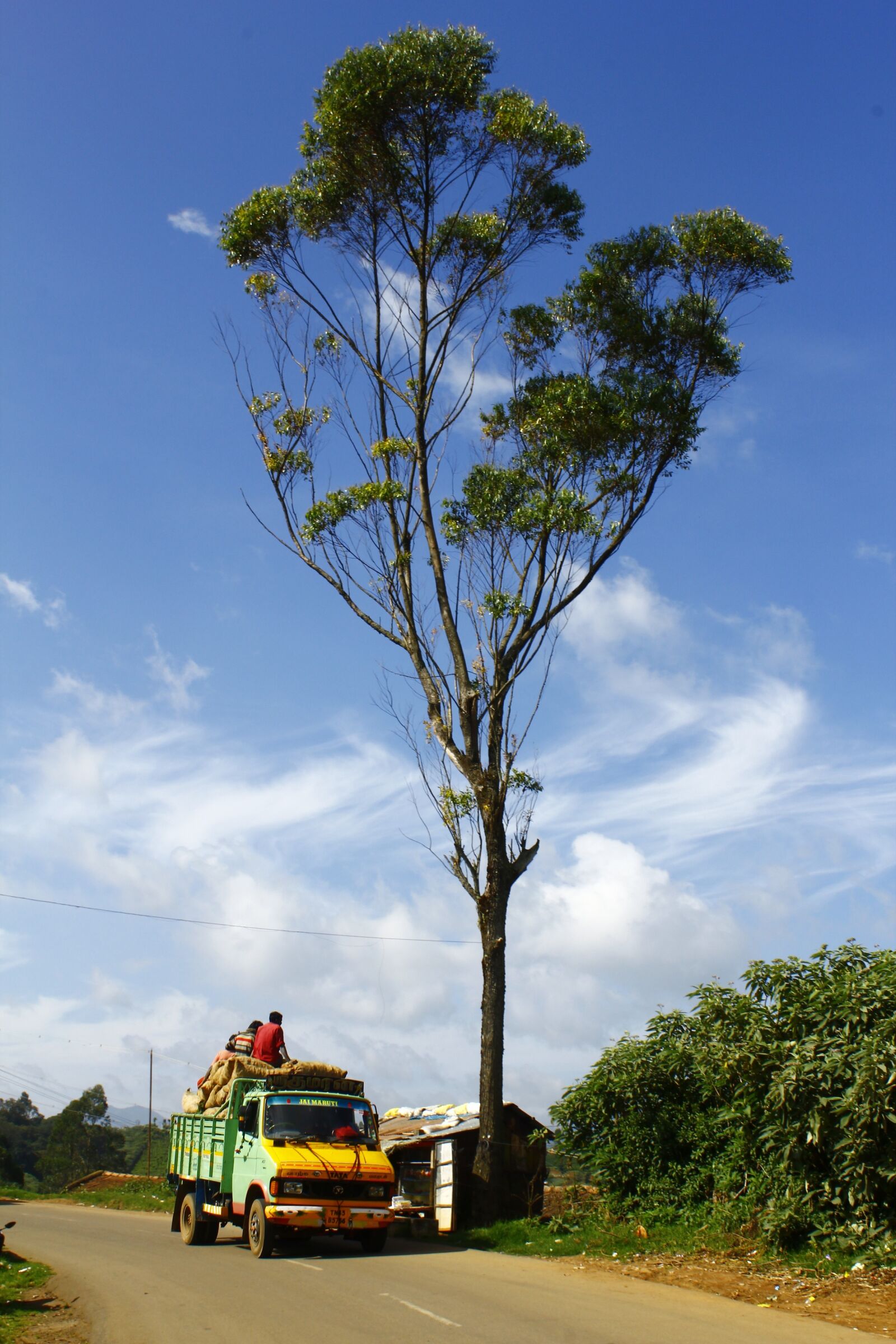 Canon EOS 550D (EOS Rebel T2i / EOS Kiss X4) sample photo. Truck, road, sky photography