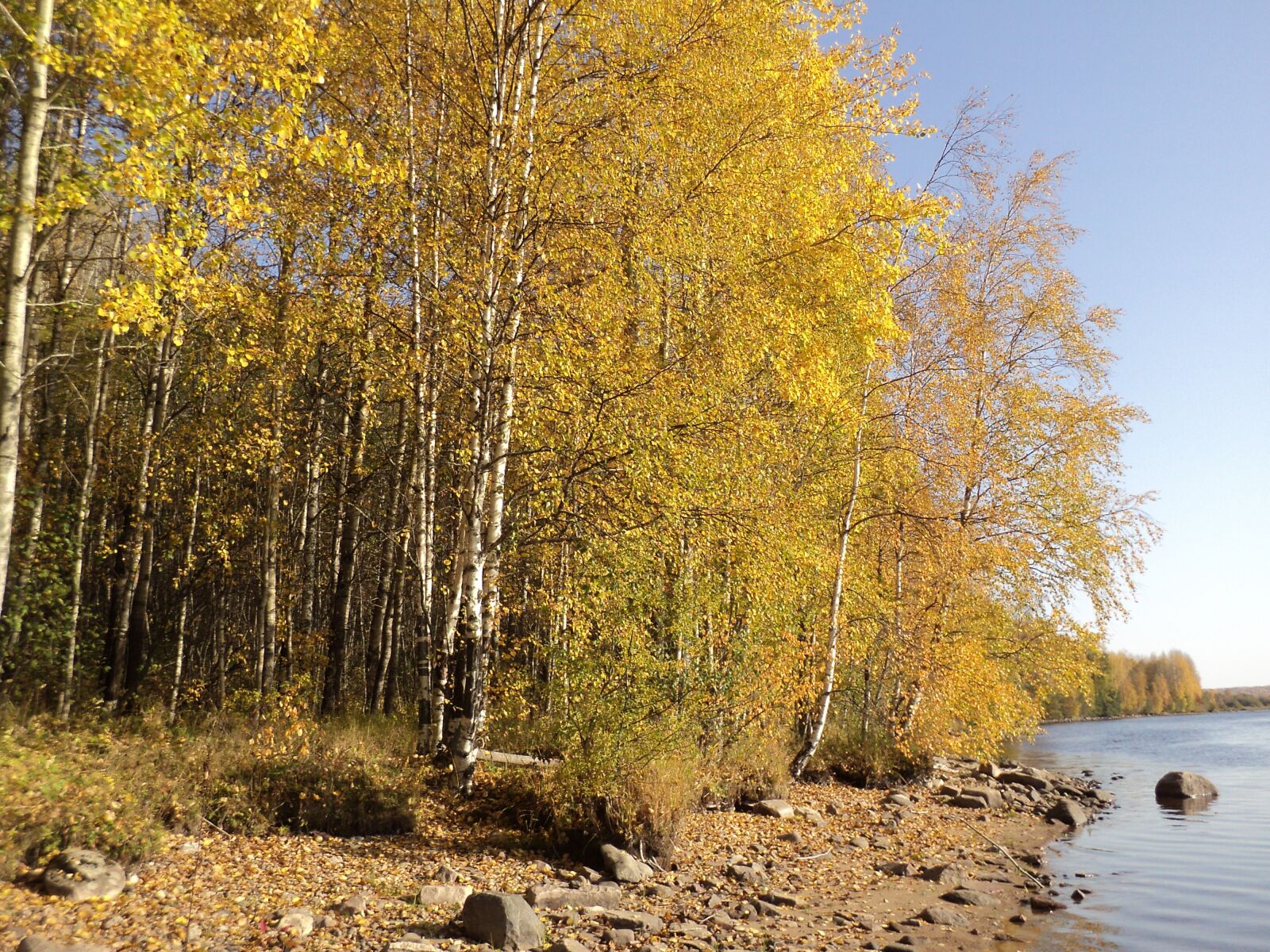 Sony DSC-S2100 sample photo. River, autumn, shore photography