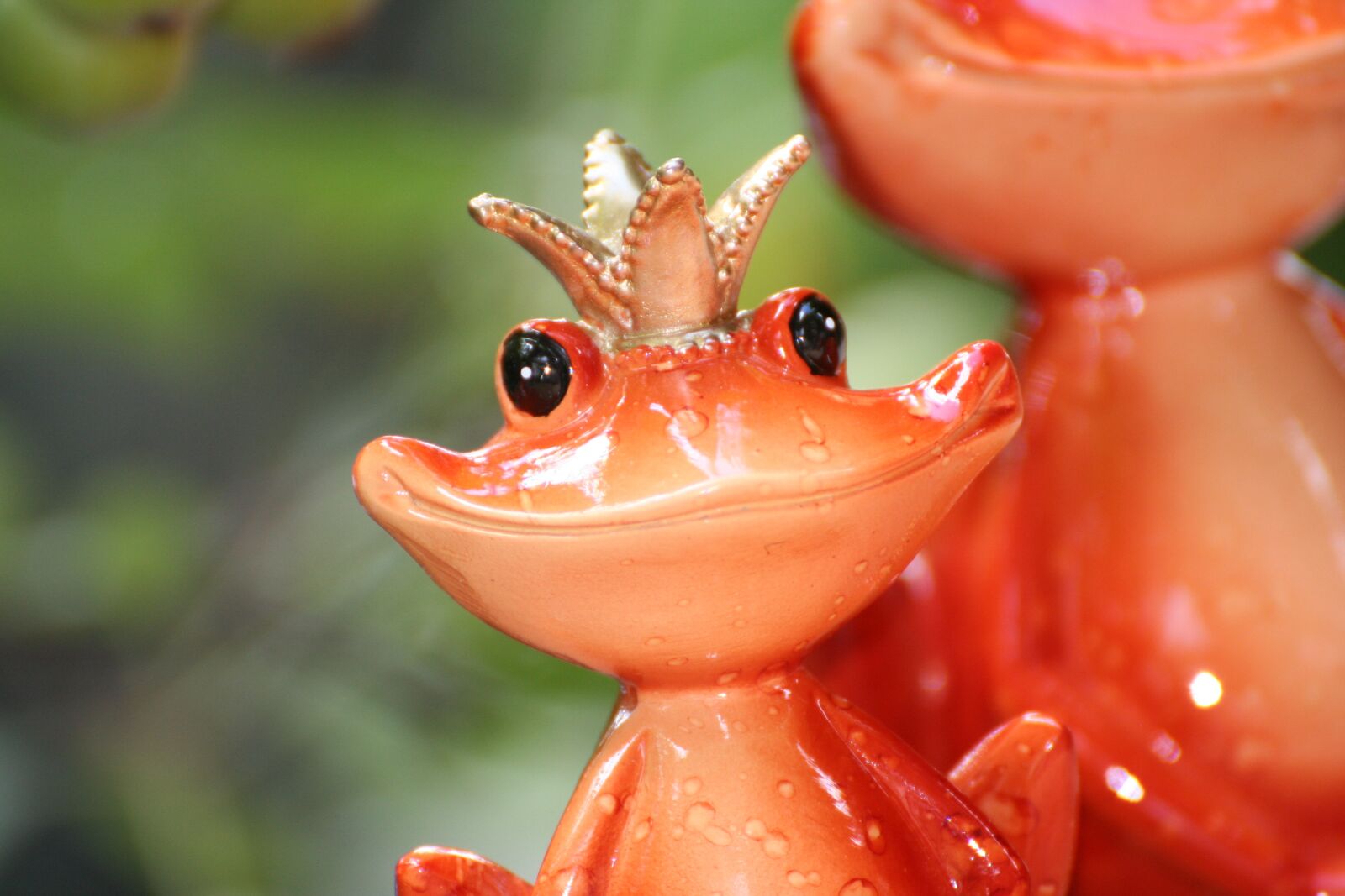Canon EOS 350D (EOS Digital Rebel XT / EOS Kiss Digital N) sample photo. Wide mouth, frog prince photography