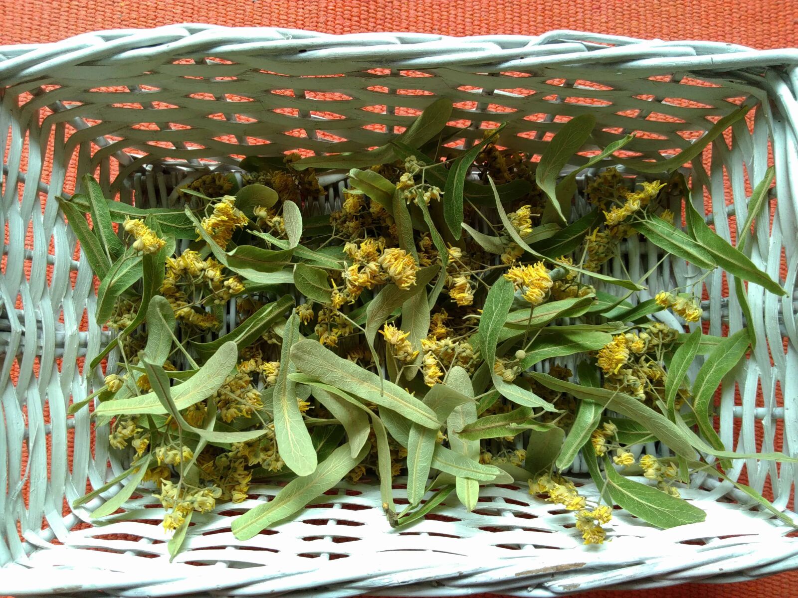 Lenovo S60-A sample photo. Food, flora, flower, wicker photography