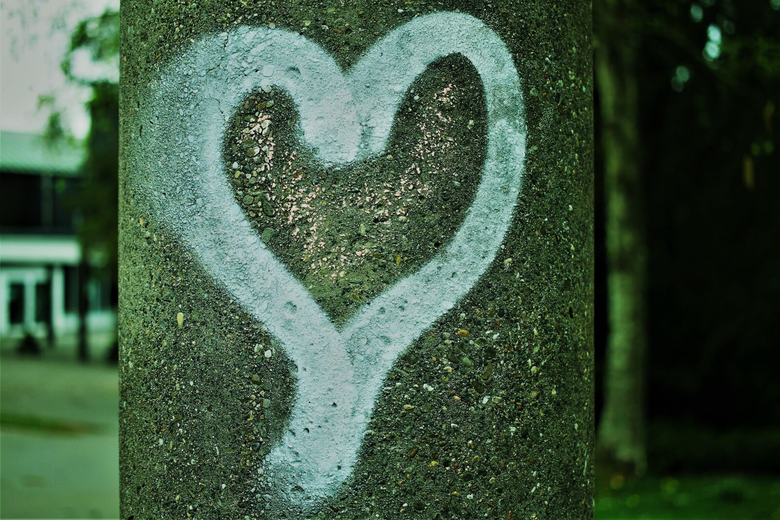 Canon EF-S 35mm F2.8 Macro IS STM sample photo. Heart, graffitti, paint photography