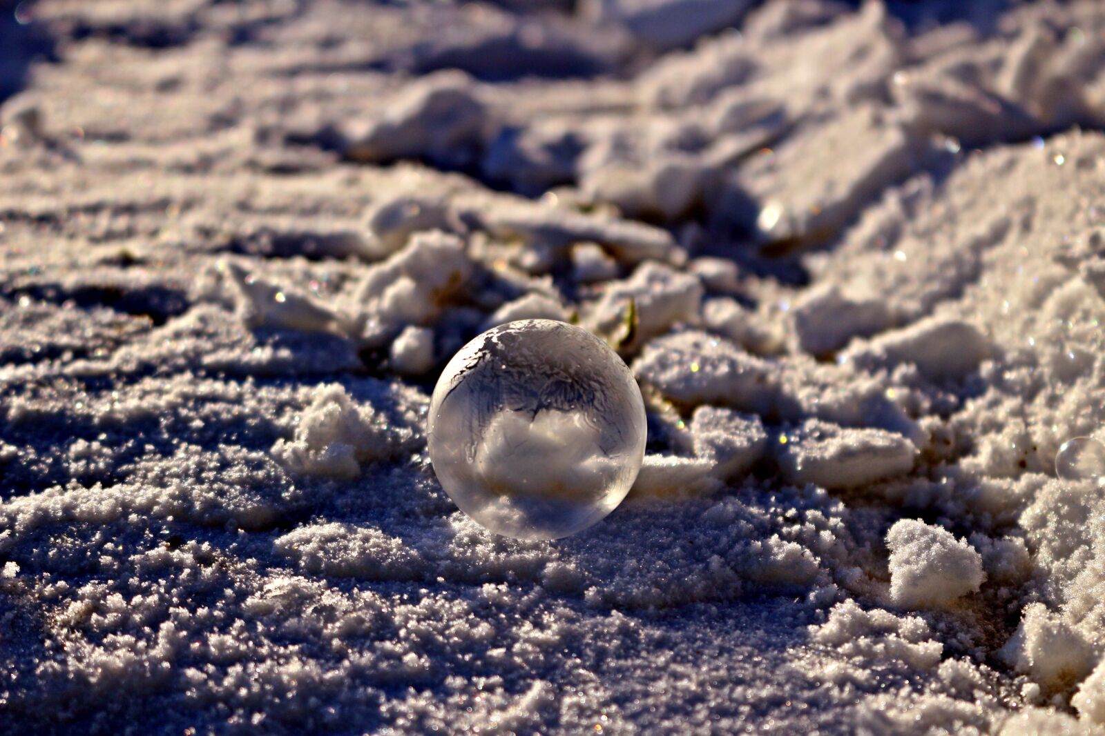 Canon EOS 100D (EOS Rebel SL1 / EOS Kiss X7) sample photo. Snow, winter, soap bubble photography