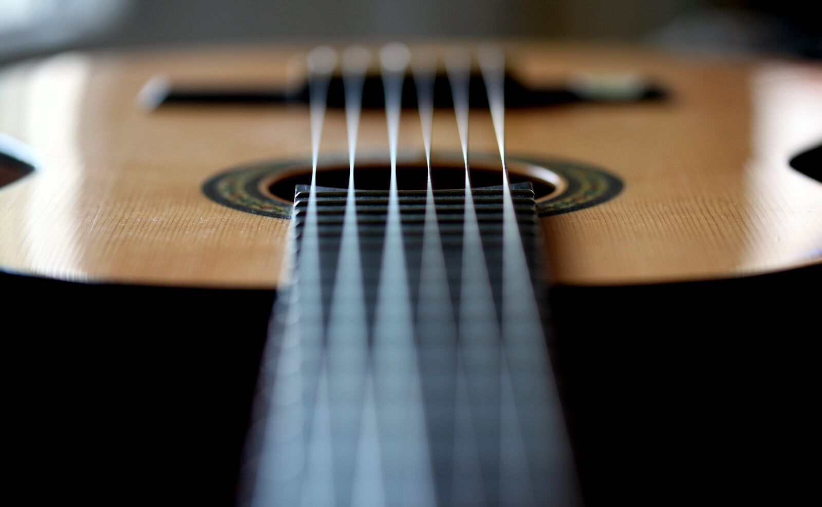 Canon EOS 5D Mark II sample photo. Guitar, strings, music photography