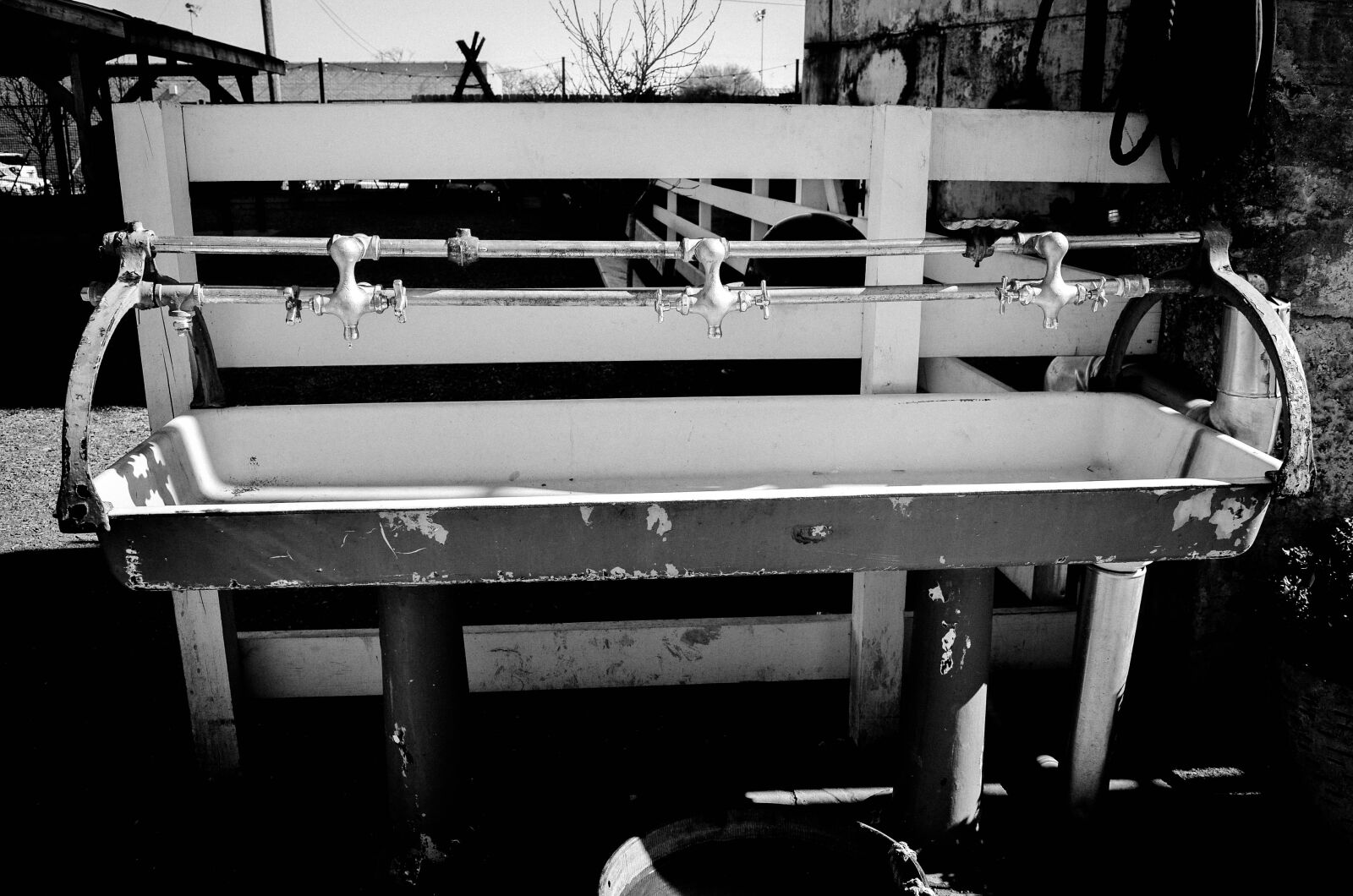 Nikon D5100 sample photo. Black, and, white, outside photography