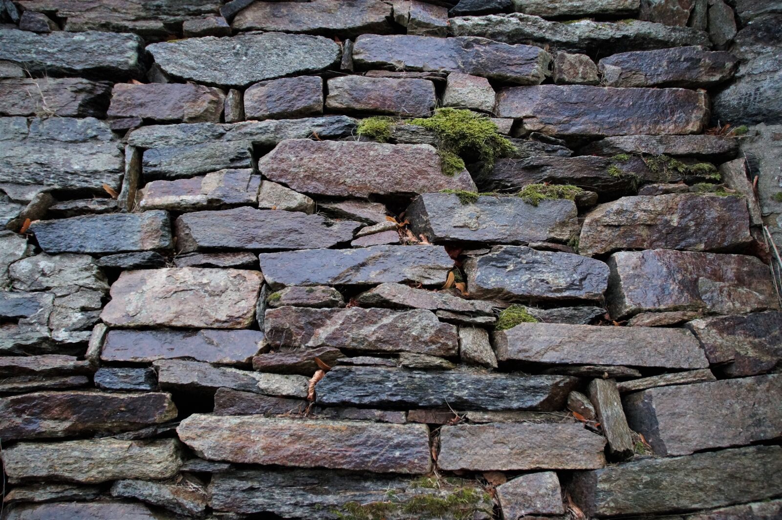 Sony SLT-A58 sample photo. Wall, stone, retaining wall photography