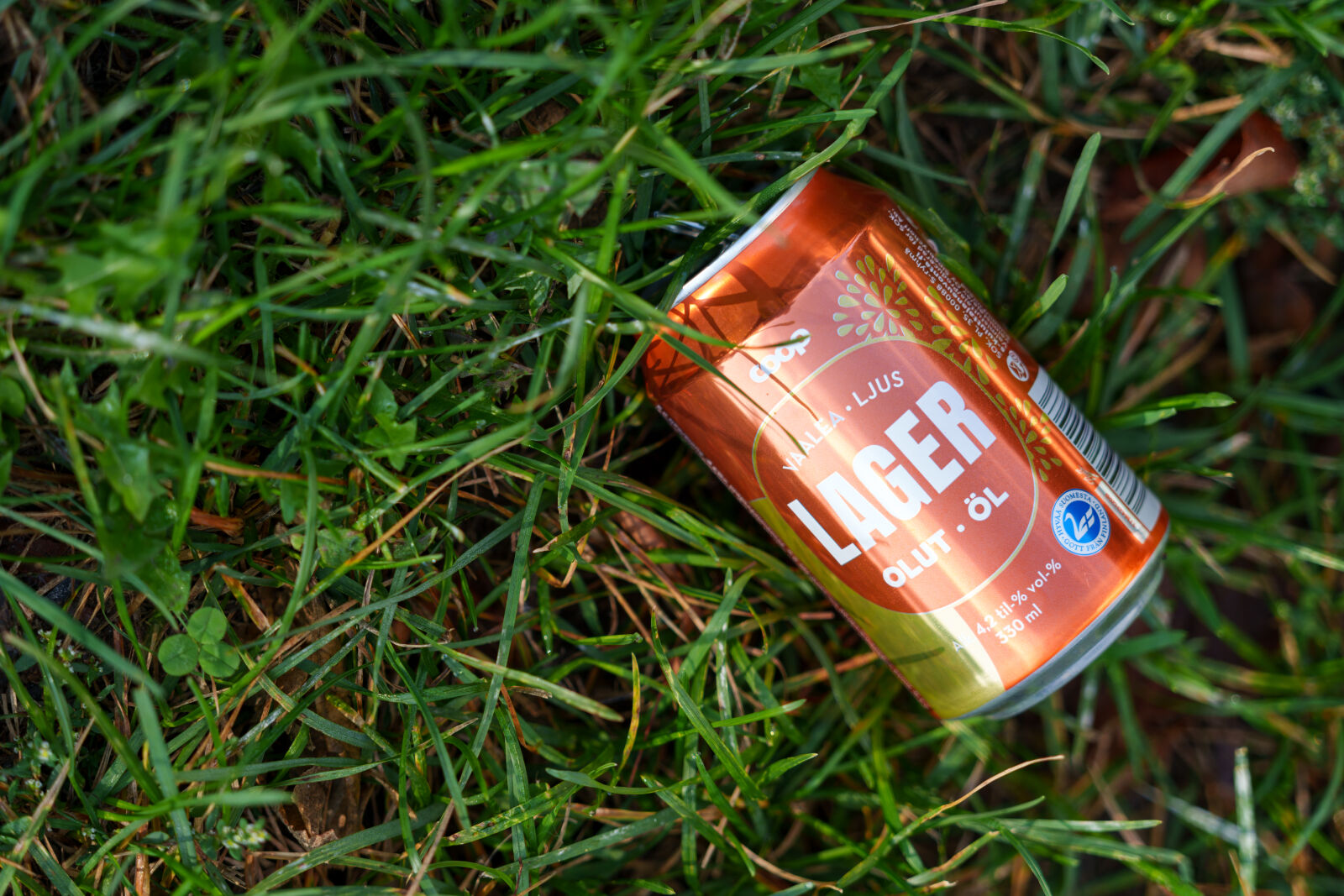 Sigma 28-105mm F2.8 DG DN | Art sample photo. Discount littering photography
