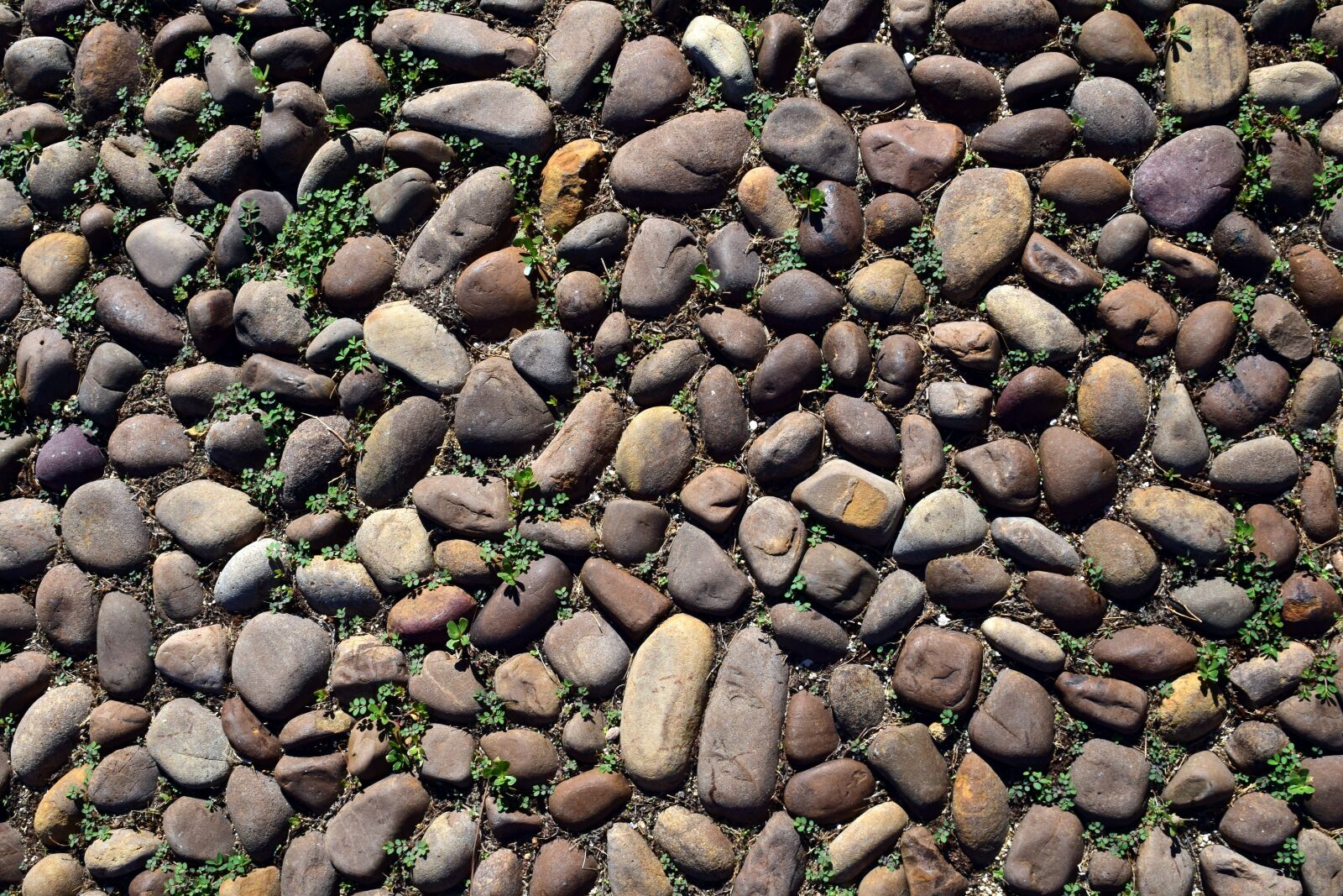 Nikon D3300 sample photo. Stone, ground, structure photography