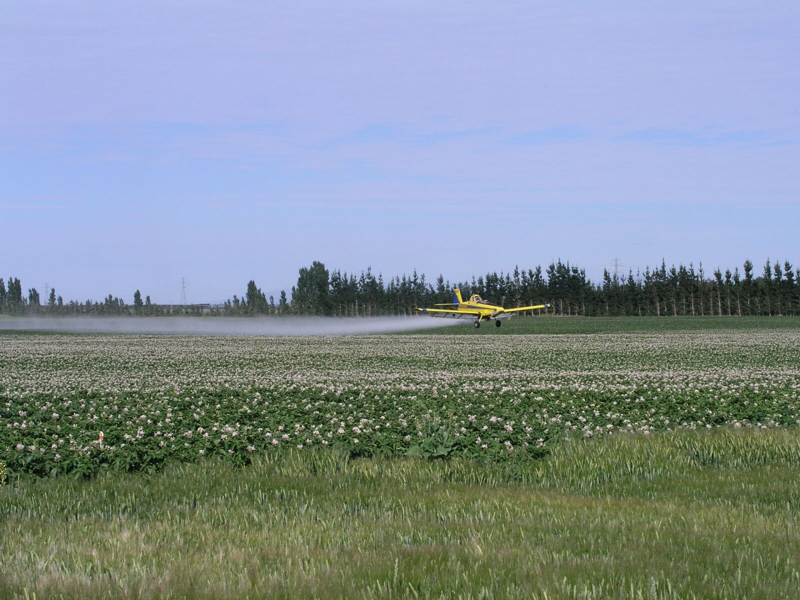 Olympus C5050Z sample photo. Agriculture, spray, plane photography