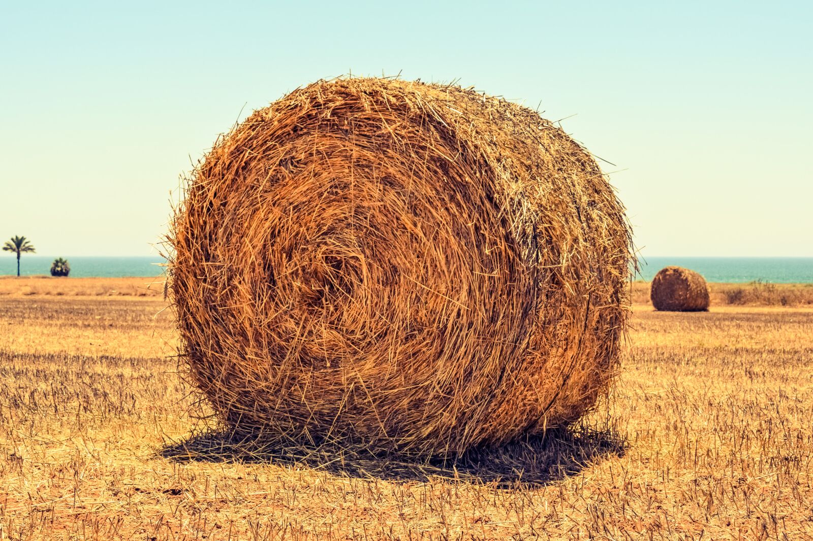 Nikon D3300 sample photo. Hay bale, field, agriculture photography