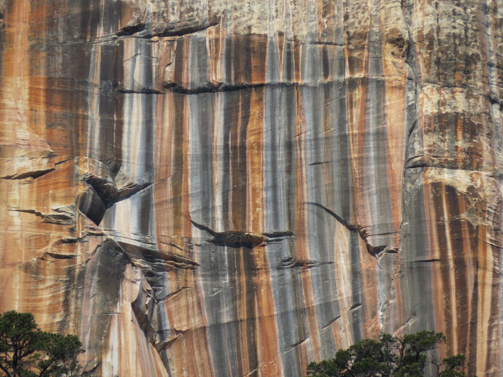 Canon PowerShot SX50 HS sample photo. Grand canyon, north rim photography
