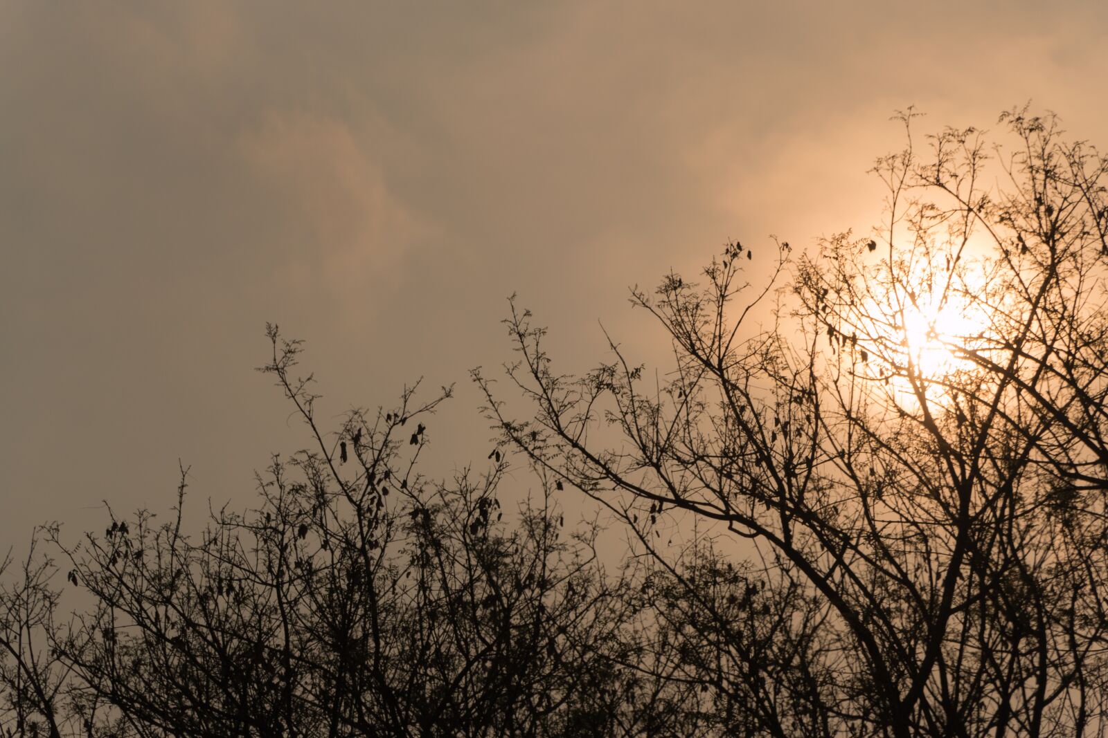 Canon EOS 70D sample photo. Sol, shadows, eventide photography