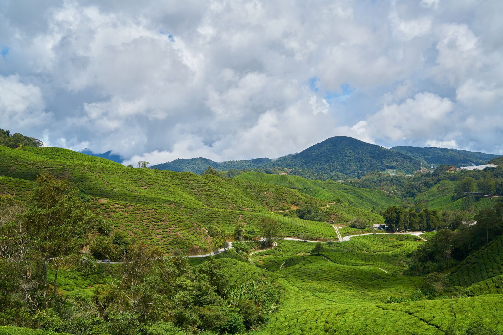 Sony a7R II sample photo. Mountain, green, blue photography
