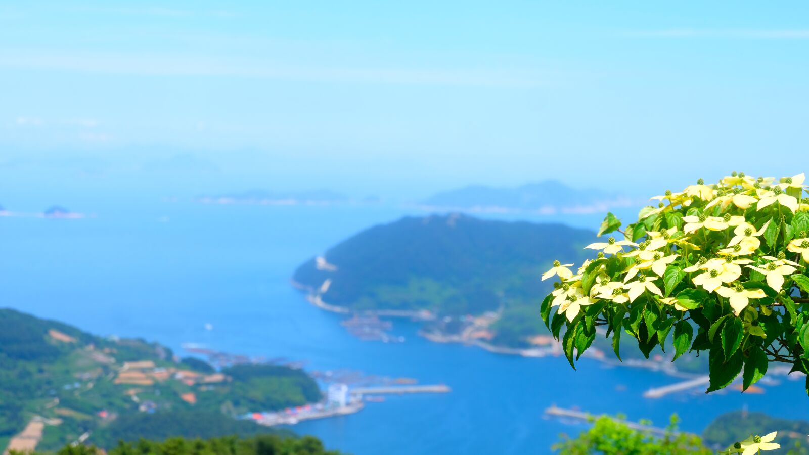 Fujifilm X-T20 + Fujifilm XC 16-50mm F3.5-5.6 OIS II sample photo. Korean landscape, south sea photography