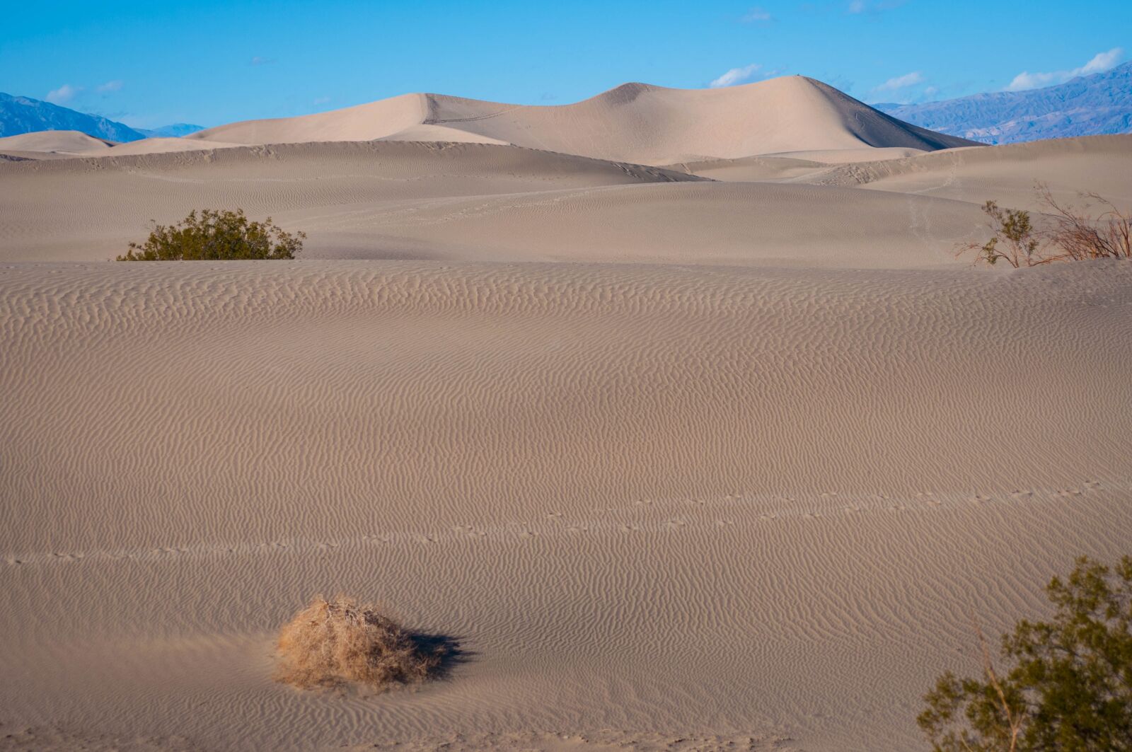 Nikon D90 sample photo. Sand, dune, death valley photography
