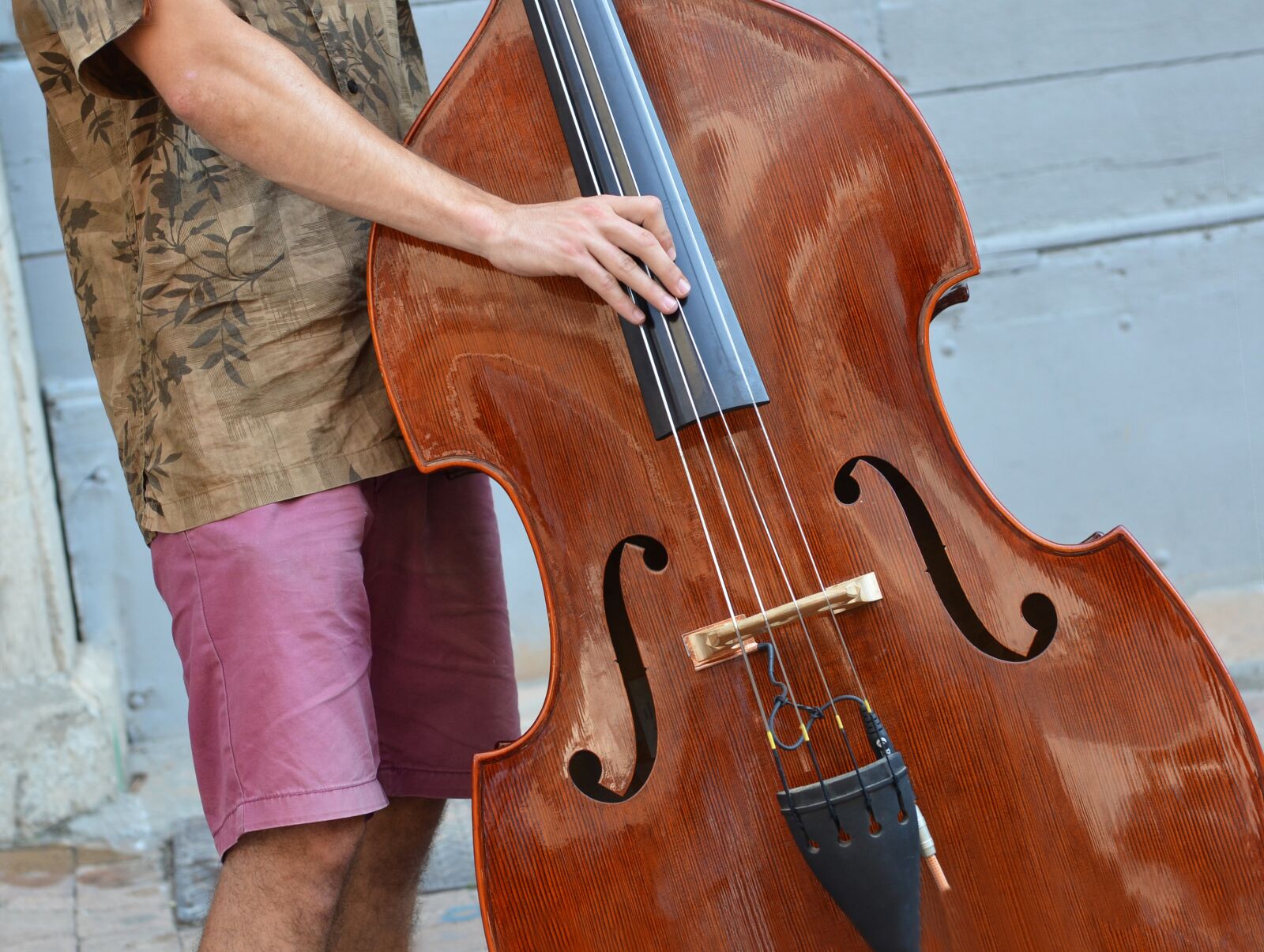 Nikon D7000 sample photo. Musician, double bass, instrument photography