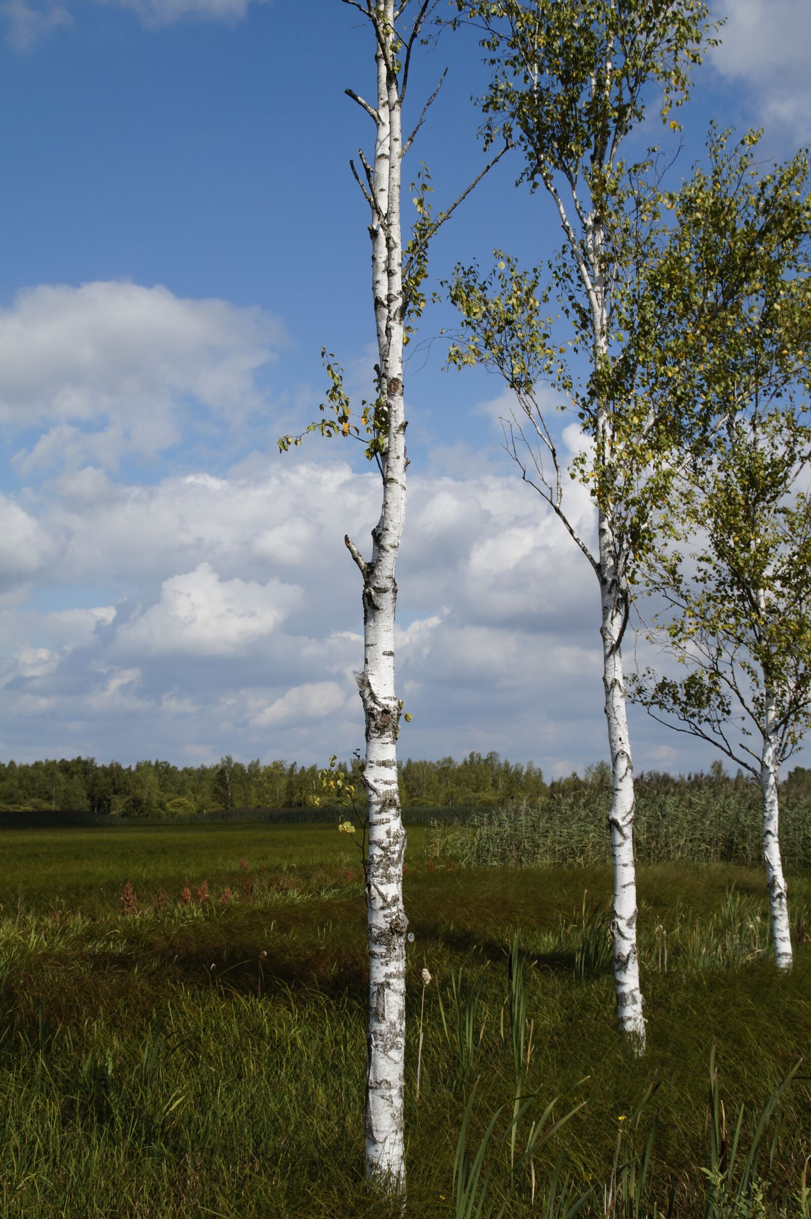 Sony SLT-A58 sample photo. Landscape, spring lake, nature photography