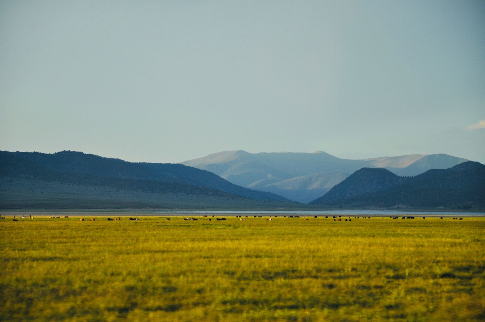 Nikon D5000 sample photo. America, usa, montana photography
