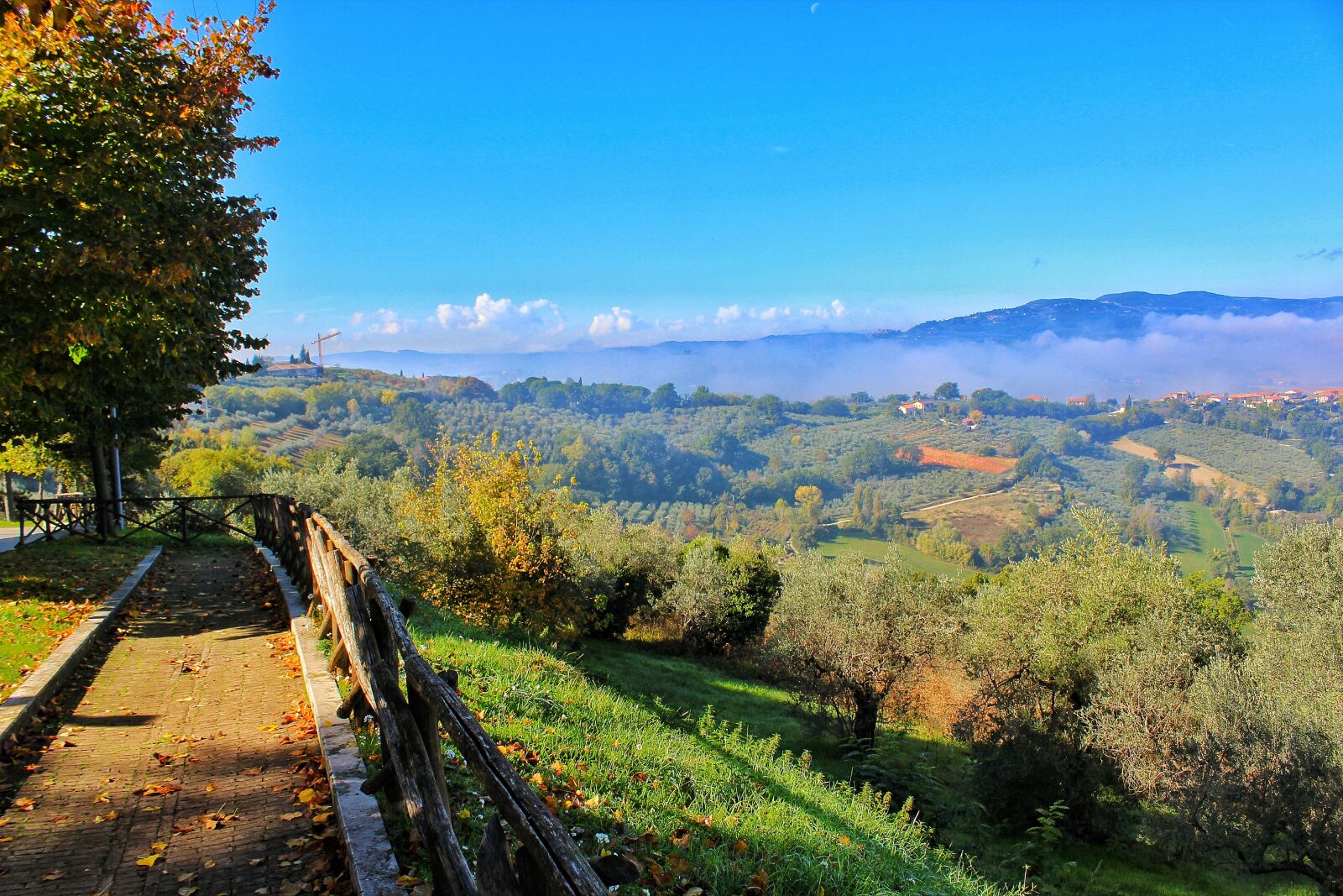 Canon EOS 1200D (EOS Rebel T5 / EOS Kiss X70 / EOS Hi) sample photo. Alberi, albero, assisi, cielo photography