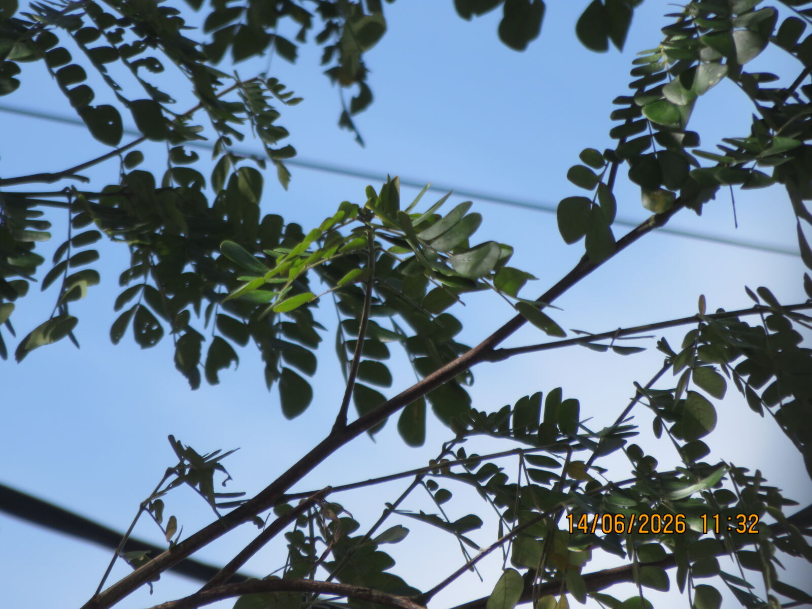 Canon PowerShot SX700 HS sample photo