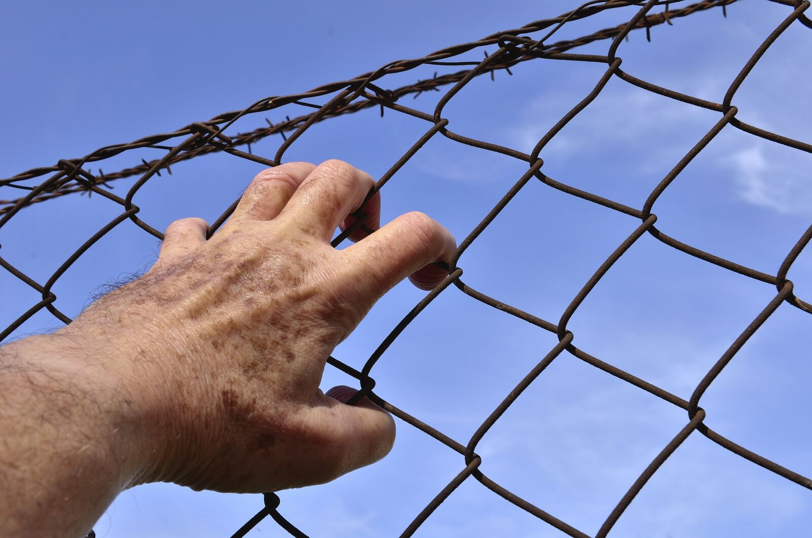 Nikon D7000 sample photo. Barbed wire, wire, court photography