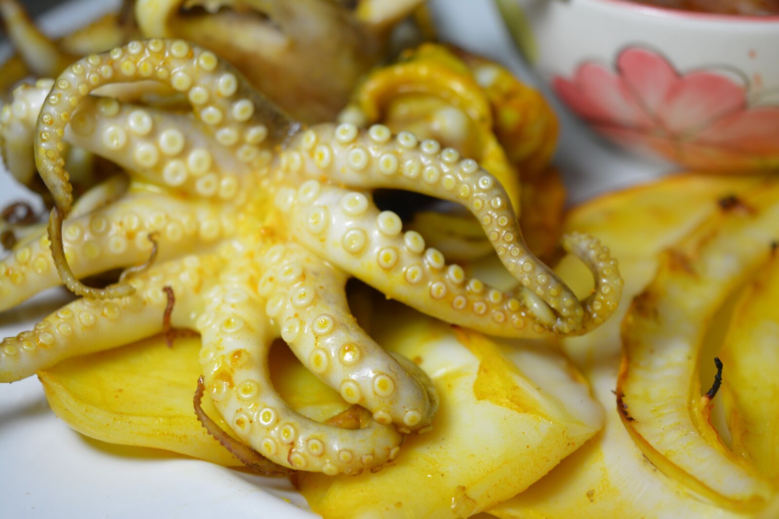 Nikon D5200 sample photo. Grilled squid, ink line photography
