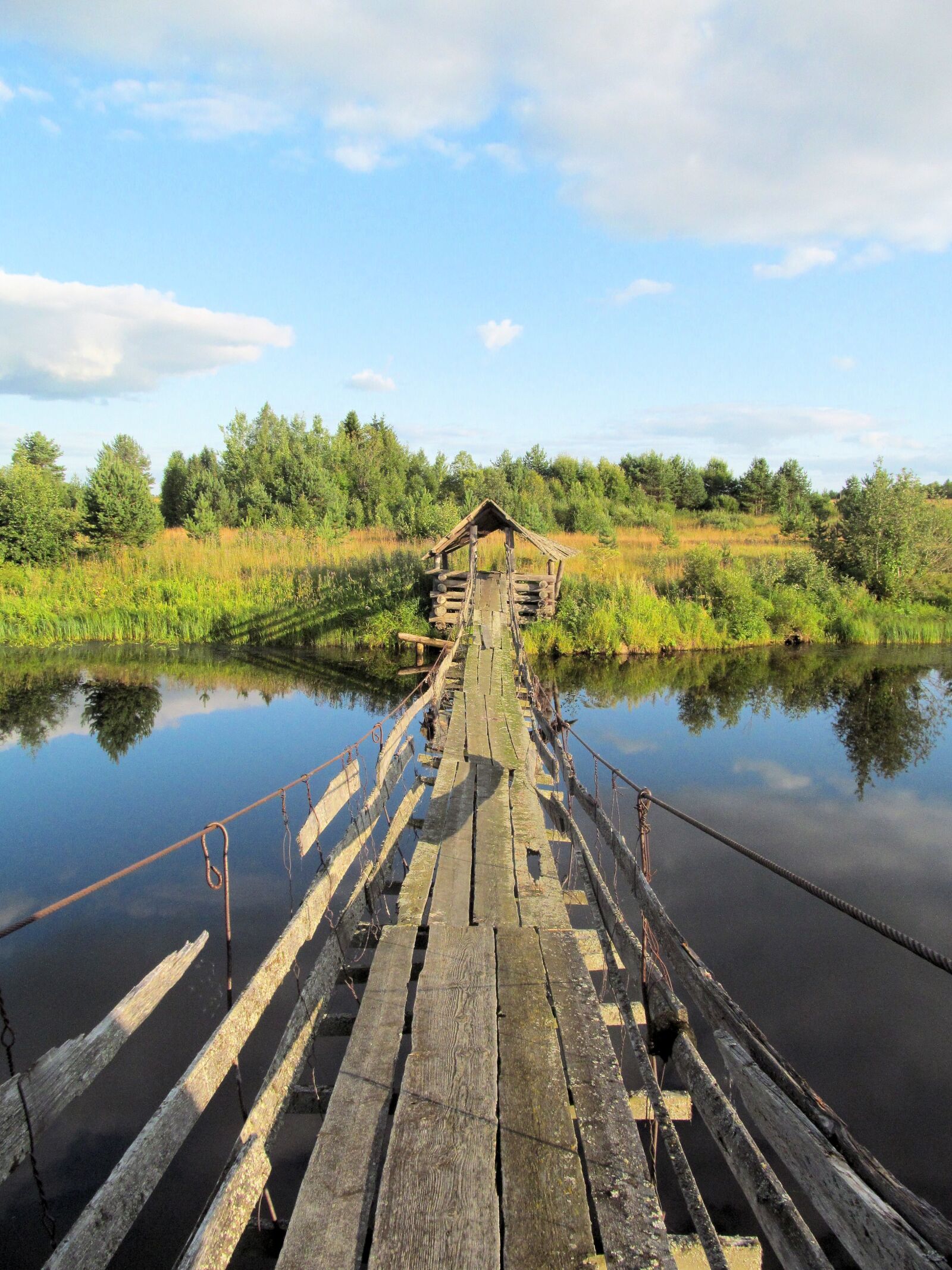 Canon PowerShot SX150 IS sample photo. Nature, bridge, forest photography