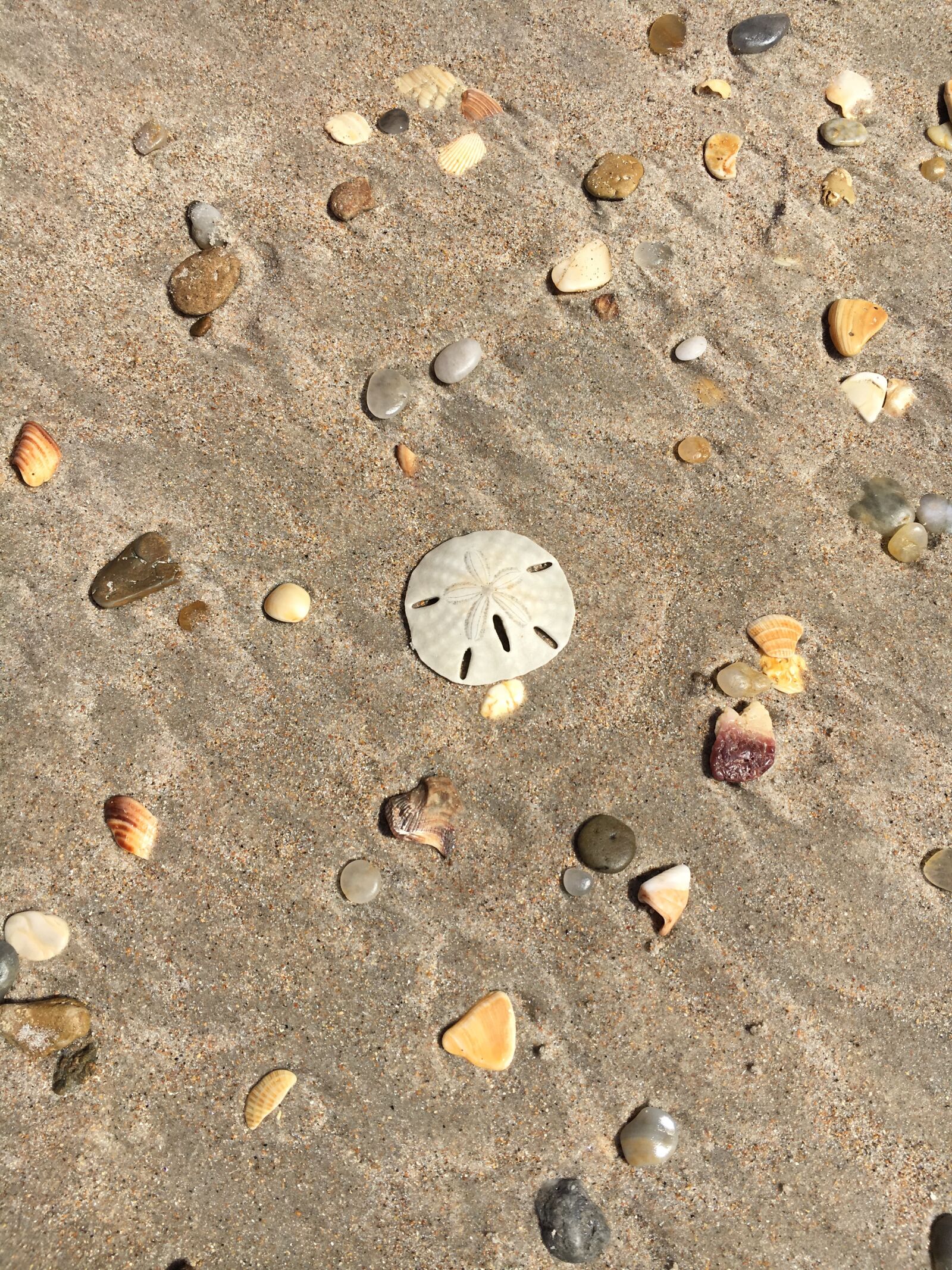 Apple iPhone 6s sample photo. Sand, beach, seashore photography