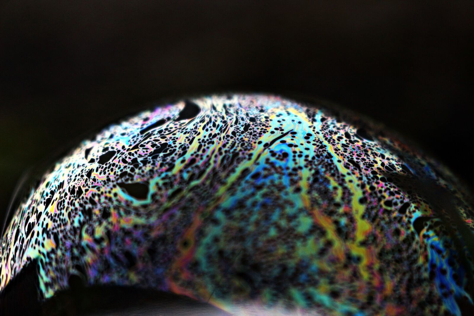 Canon EOS 100D (EOS Rebel SL1 / EOS Kiss X7) sample photo. Bubble, iridescent, soap bubble photography