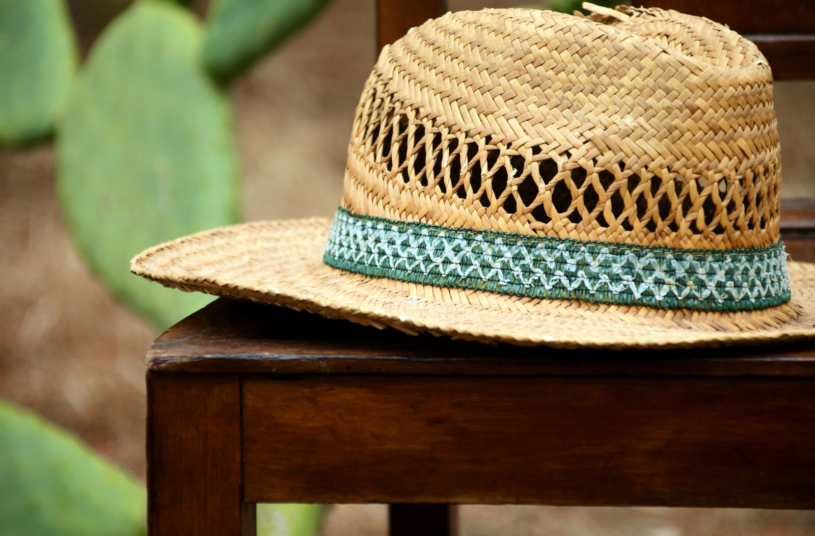 Nikon D3300 sample photo. Hat, straw hat, headwear photography
