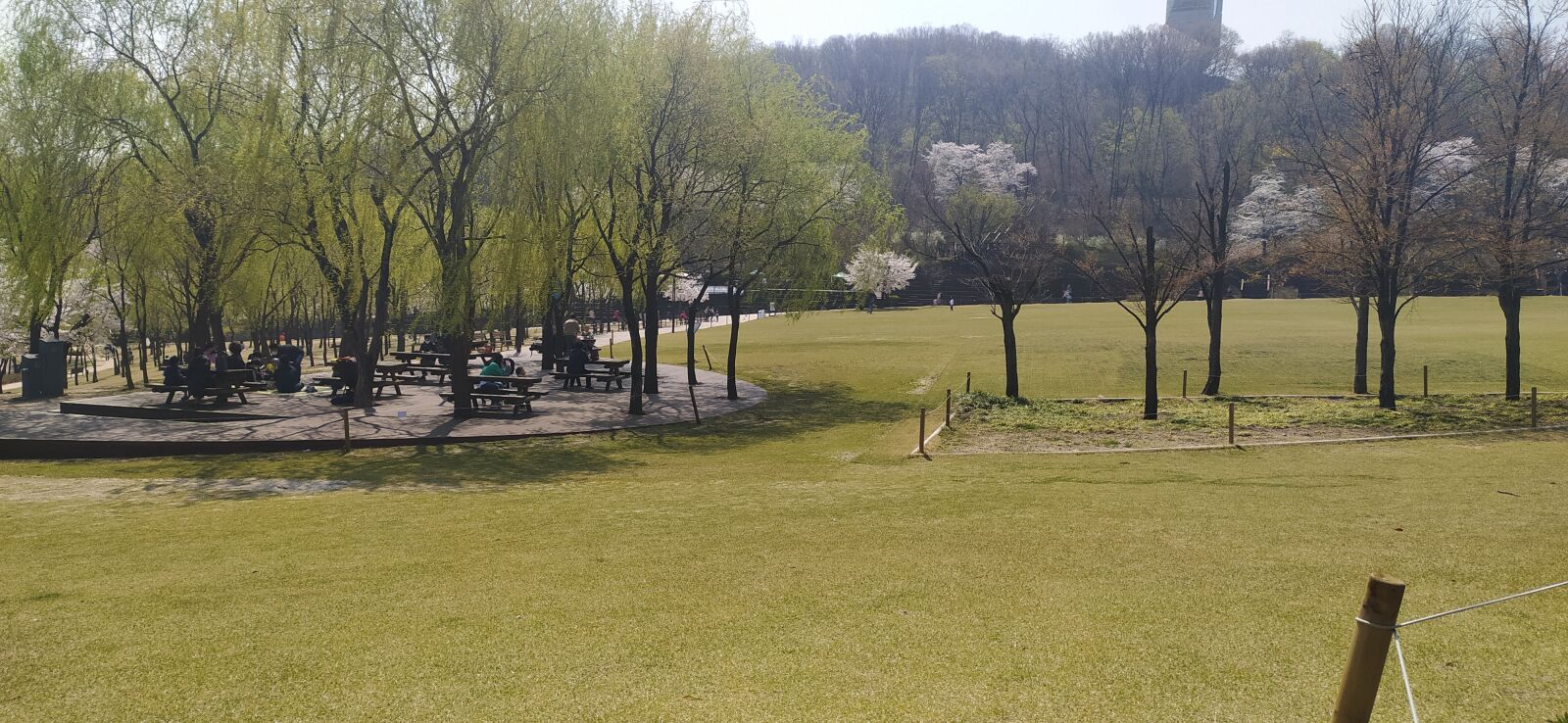 Xiaomi Redmi Note 8 sample photo. North seoul forest, seoul photography
