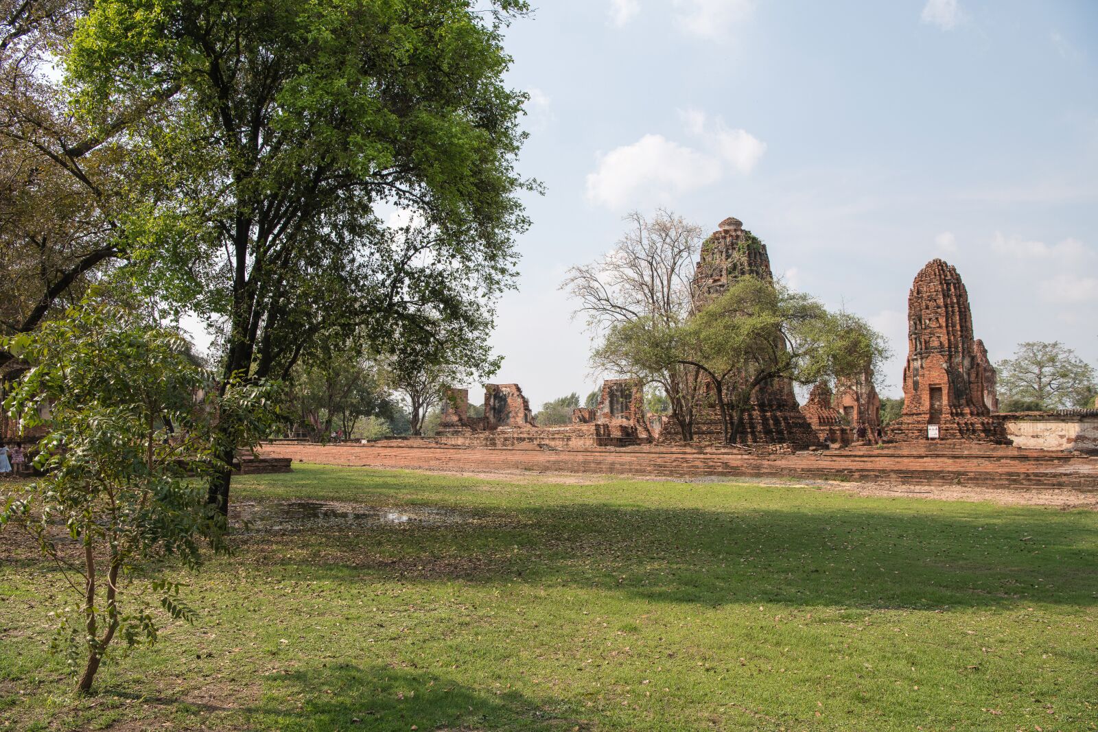 Nikon D850 sample photo. Thailand, ayutthaya, ruins photography