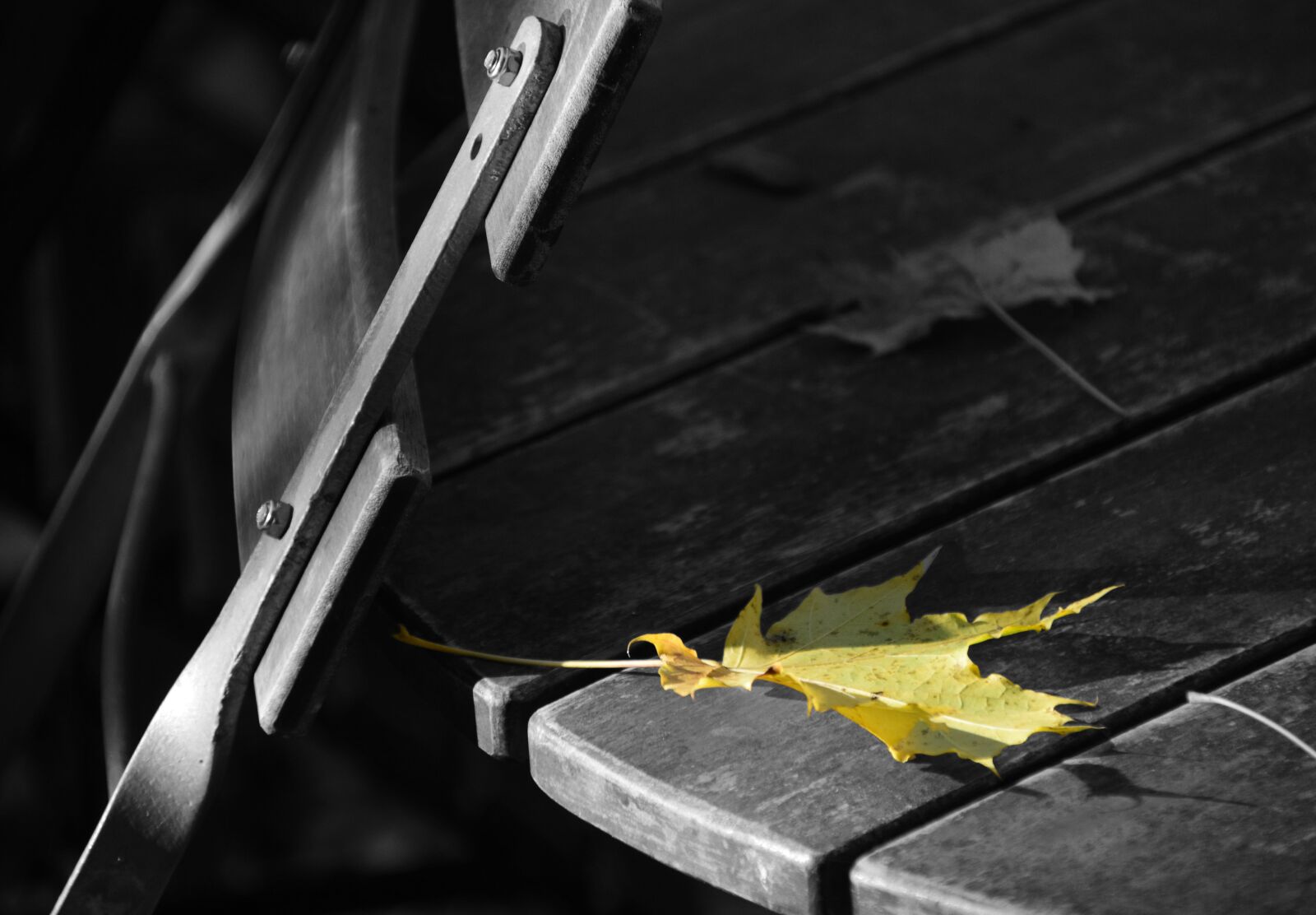 Nikon D3300 sample photo. Beer garden, autumn, leaves photography
