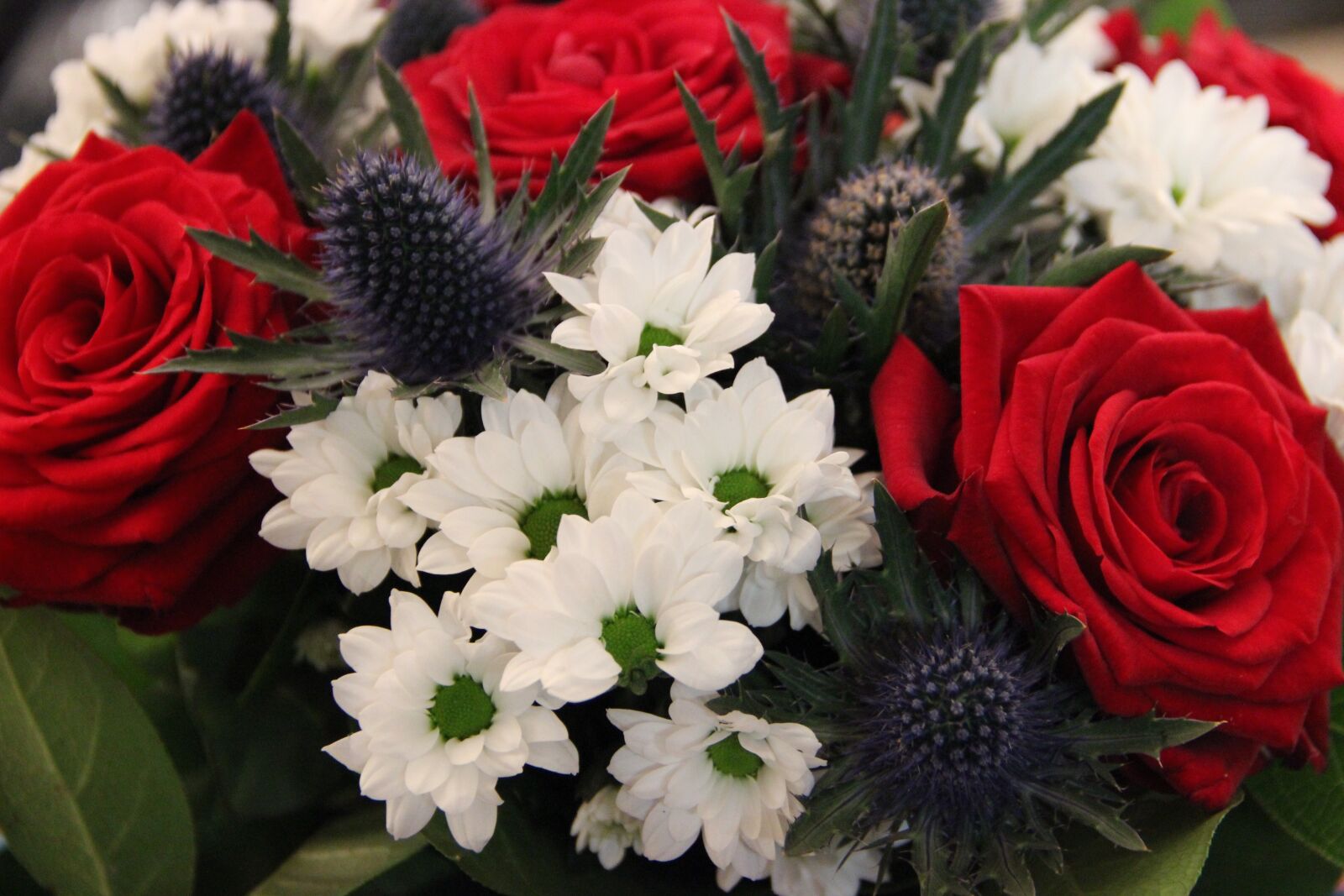 Canon EOS 600D (Rebel EOS T3i / EOS Kiss X5) sample photo. Bouquet, commemoration, blue white photography