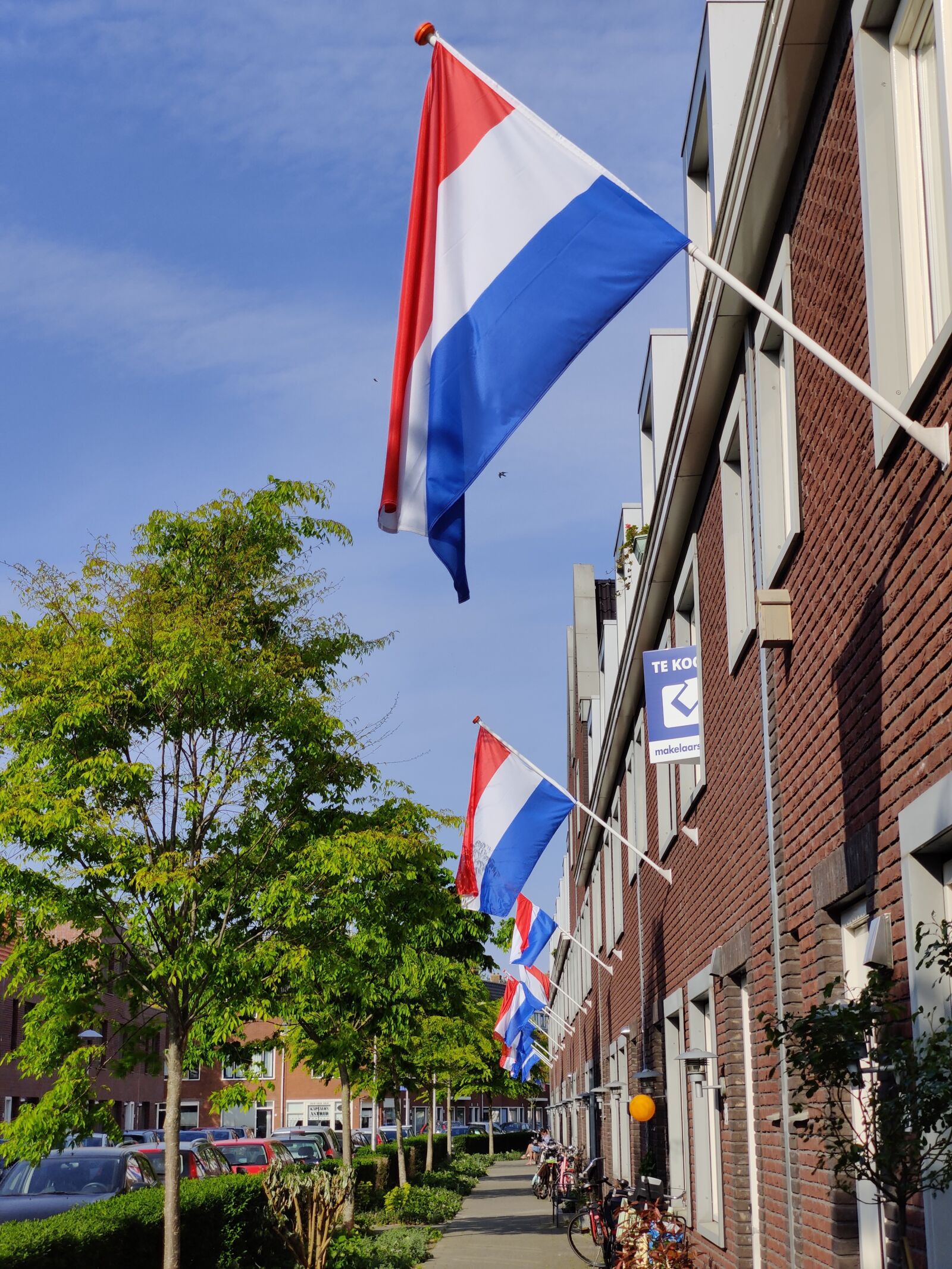 OnePlus HD1903 sample photo. Netherlands, flag, king's work photography