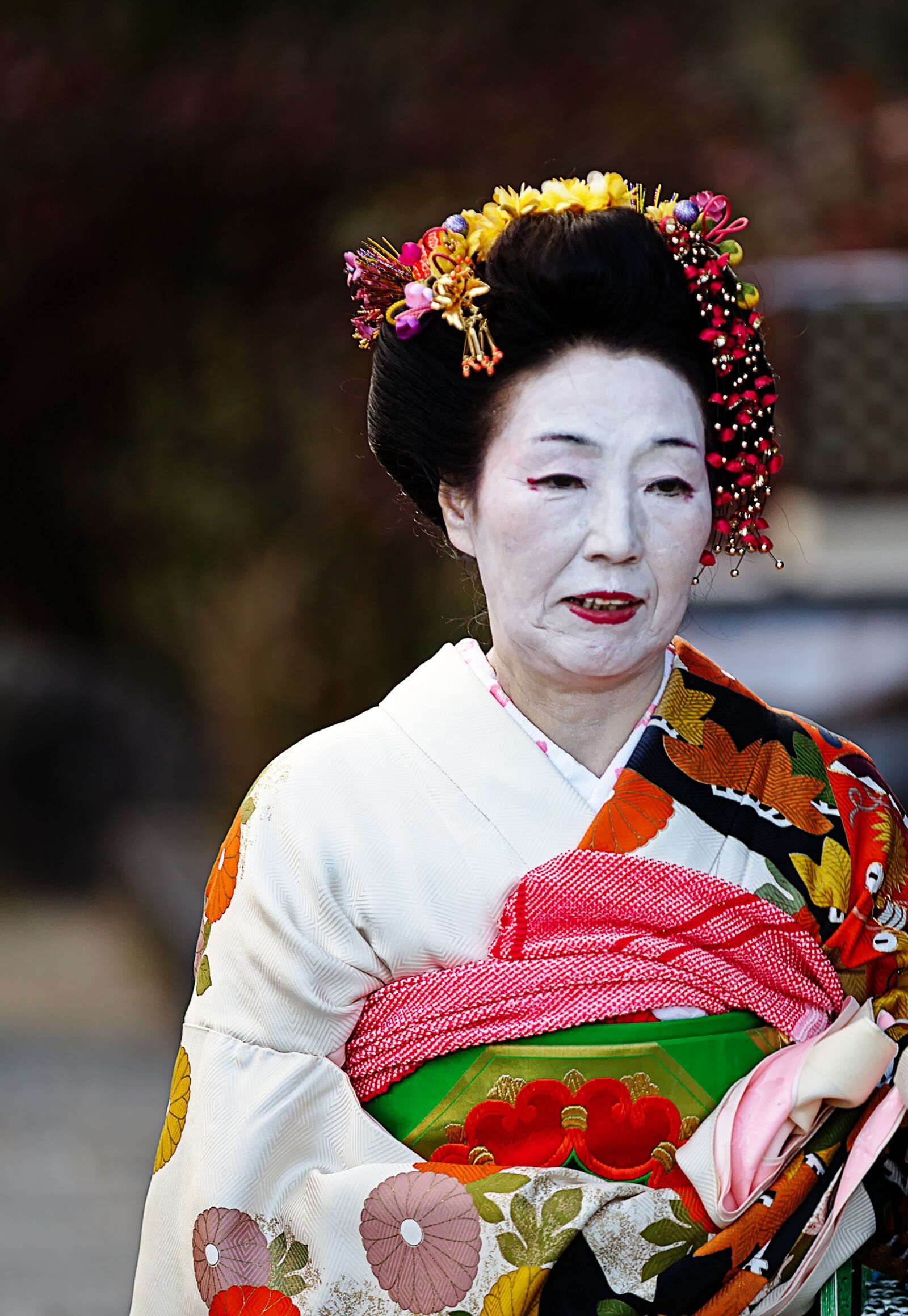 Canon EOS 6D sample photo. Japan, kyoto, festival photography