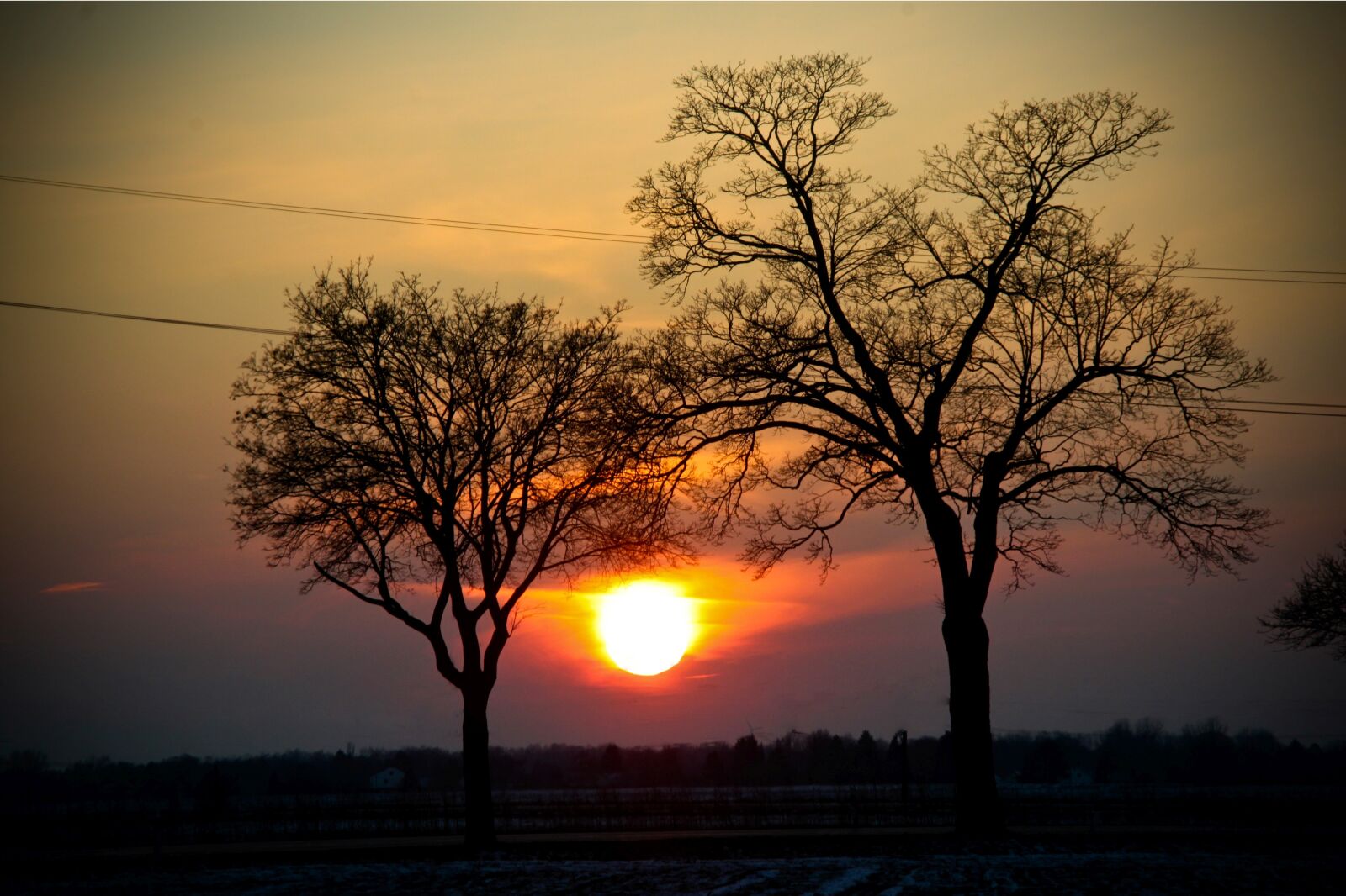 Canon EOS 500D (EOS Rebel T1i / EOS Kiss X3) sample photo. Sunset, trees, landscape photography