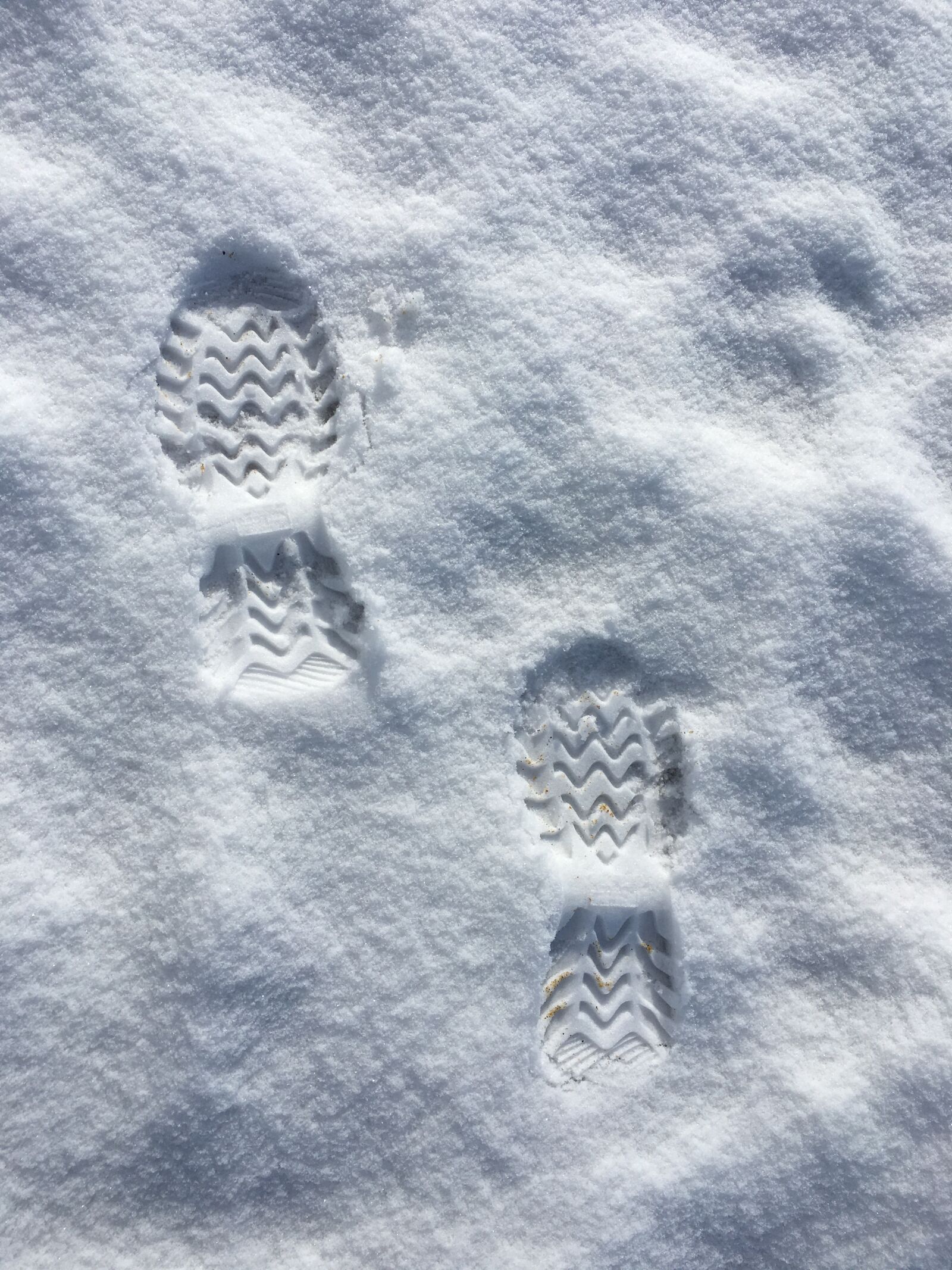 Apple iPhone 6s sample photo. Snow, footprints, winter photography