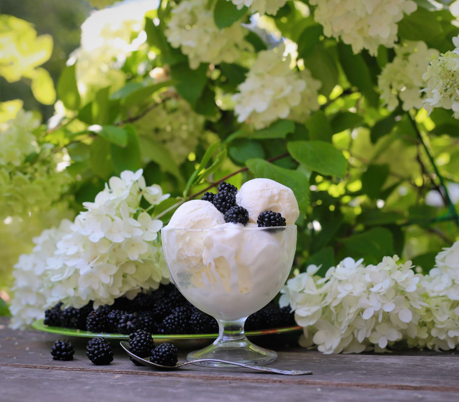 Canon EF 50mm F1.8 II sample photo. Ice cream, food, plate photography