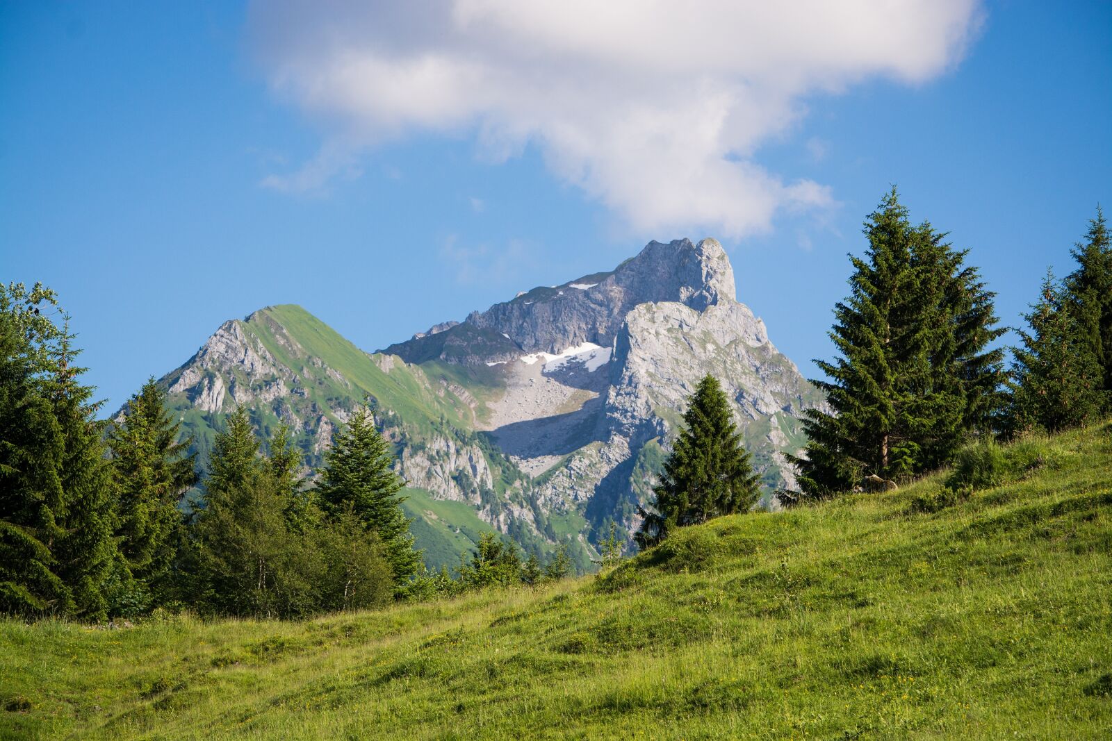Nikon D7100 sample photo. Landscape, nature, meadow photography