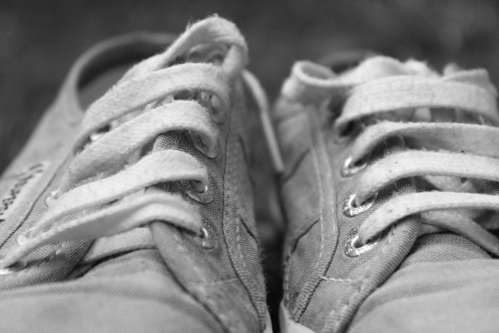 Canon EOS 1300D (EOS Rebel T6 / EOS Kiss X80) sample photo. Sneakers, shoes, footwear photography
