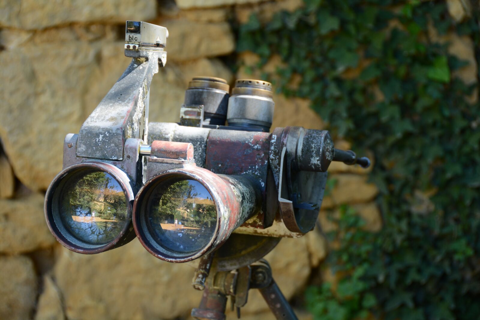 Nikon D7100 sample photo. Periscope, p rigord, jardin photography