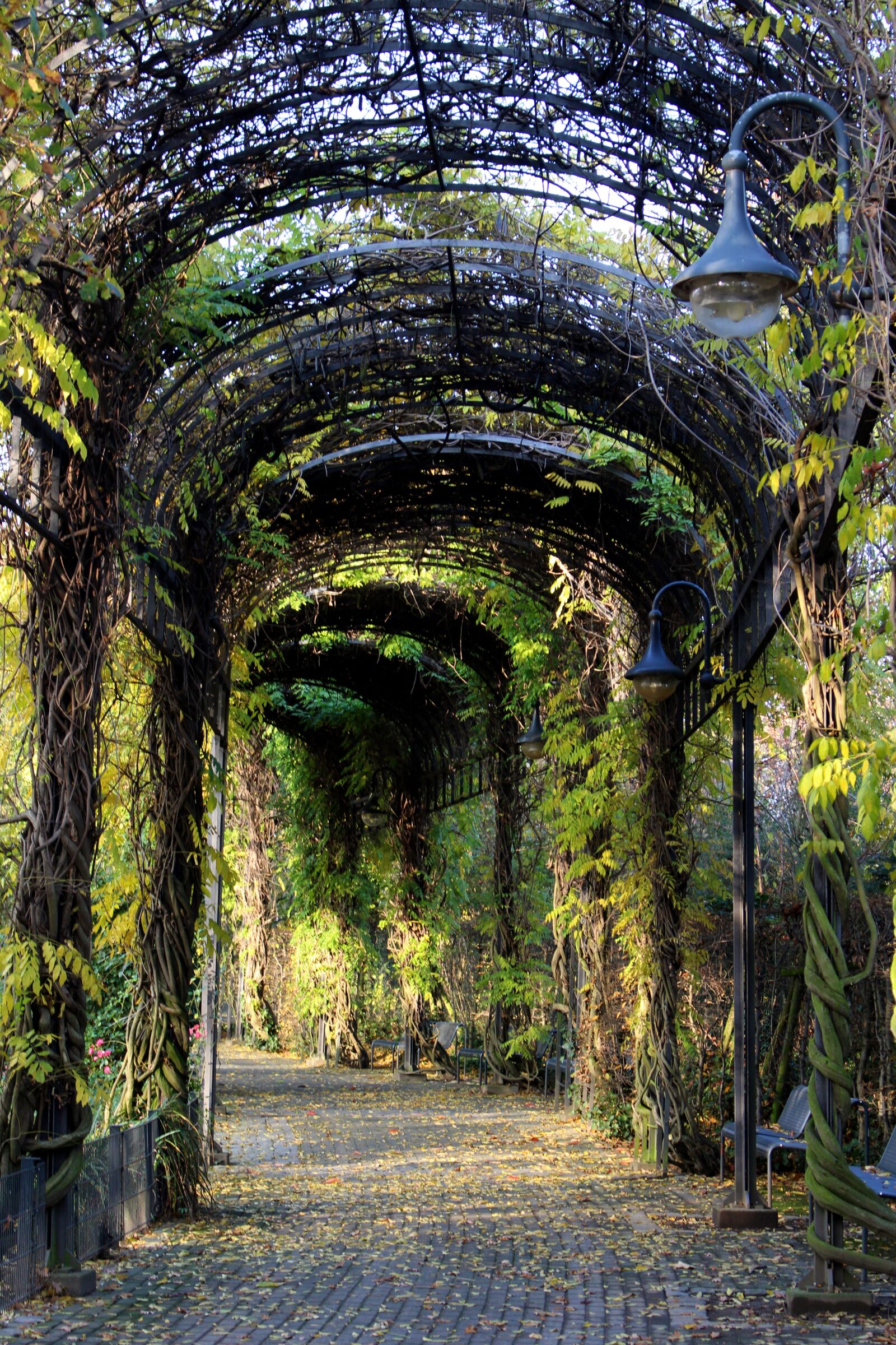 Canon EOS 700D (EOS Rebel T5i / EOS Kiss X7i) sample photo. Tunnel, plant tunnel, away photography