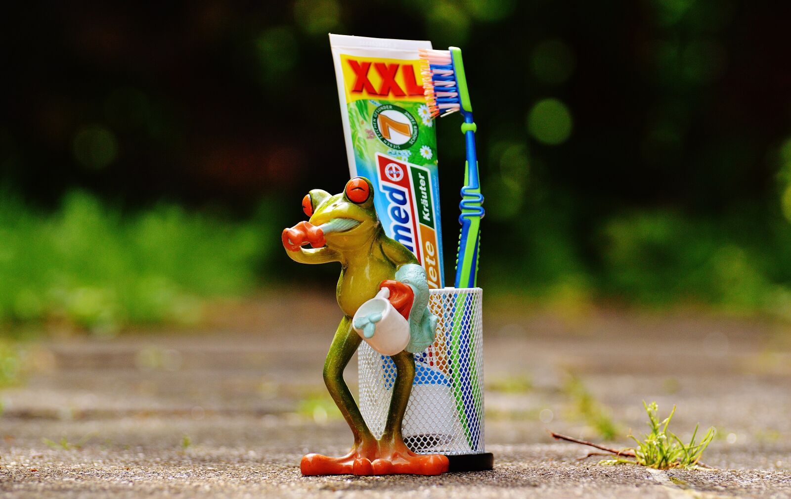 Nikon D3200 sample photo. Toothpaste, frog, toothbrush photography