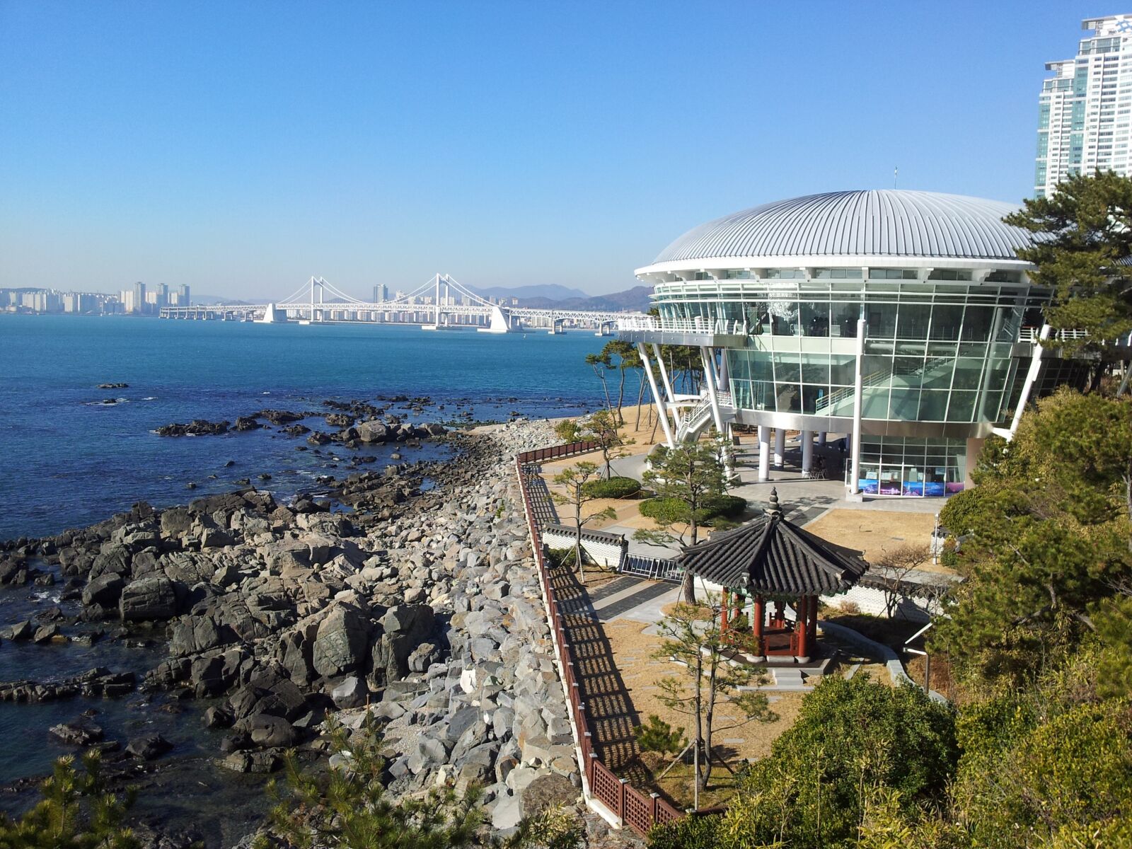 Samsung Galaxy S2 sample photo. Dongbaek island, nuri flooring photography