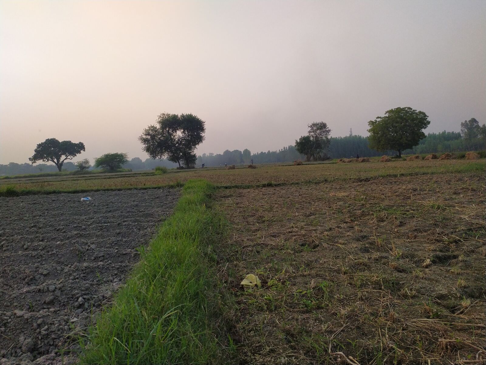 Xiaomi Redmi Note 7 sample photo. Village road, pathway, nature photography