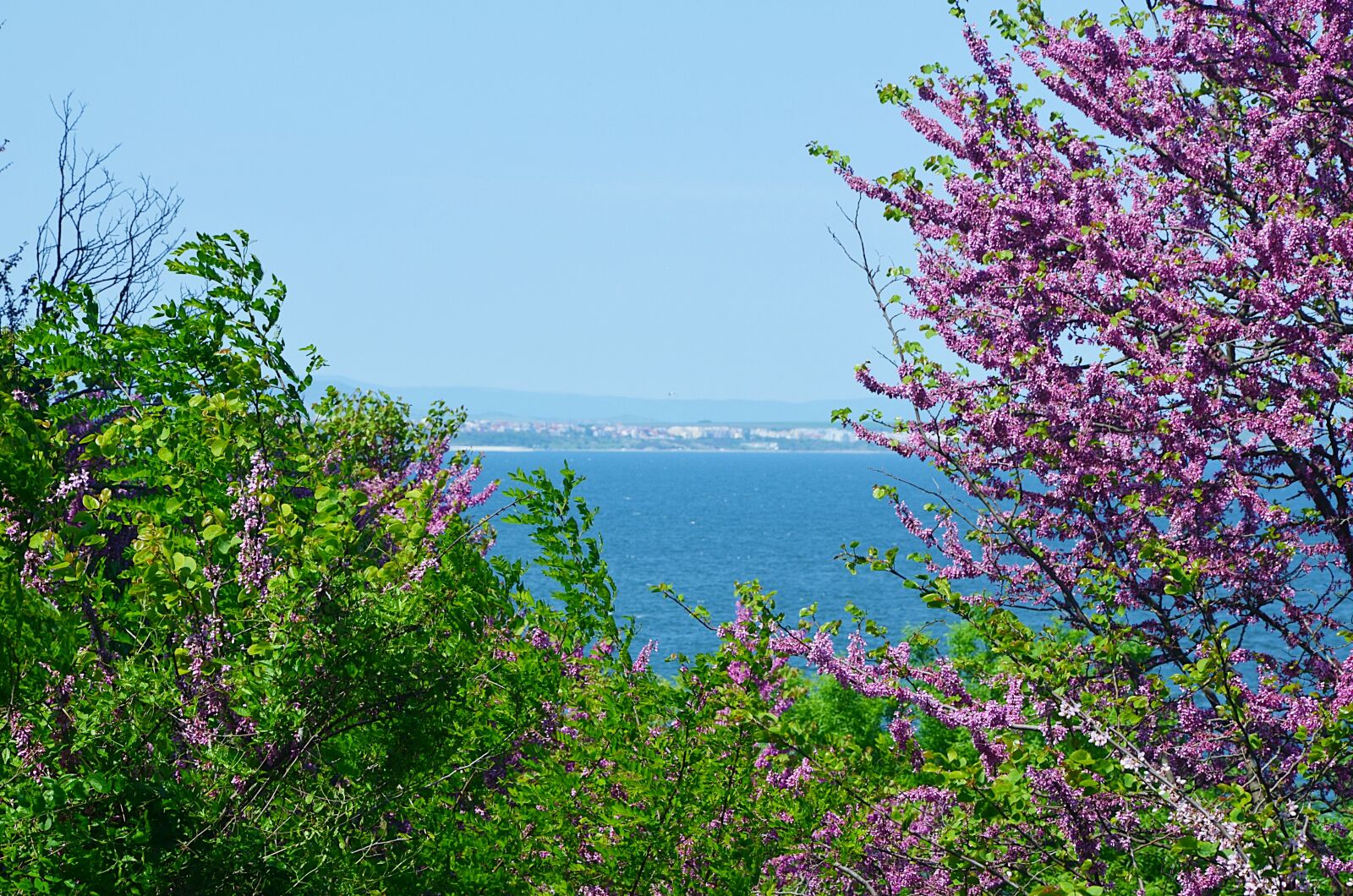 Nikon D5100 sample photo. Bulgaria, sea, burgas photography