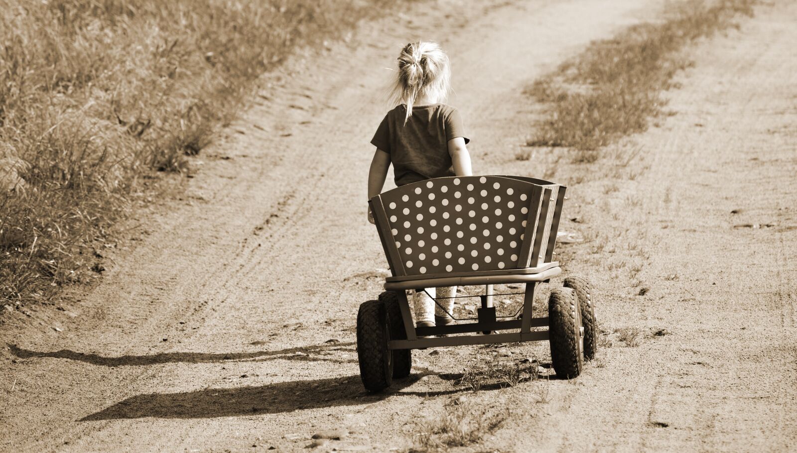 Nikon D5300 sample photo. Girl, stroller, handcart photography