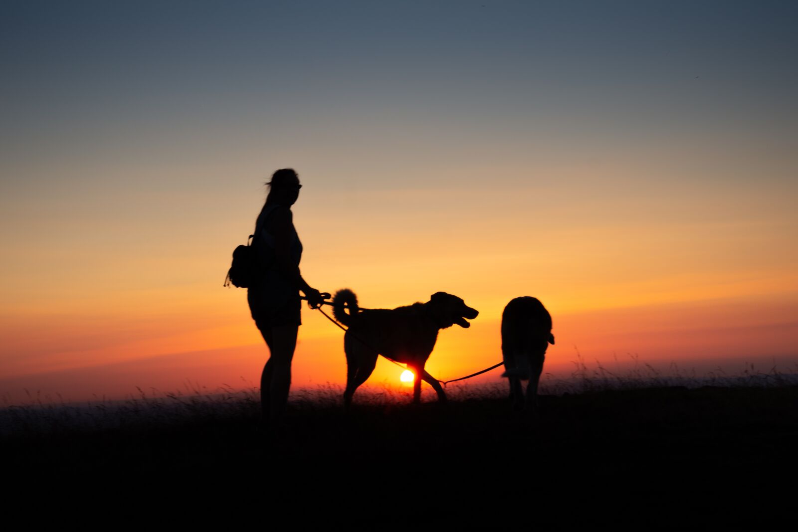Nikon D7200 sample photo. Evening, backlighting, silhouette photography